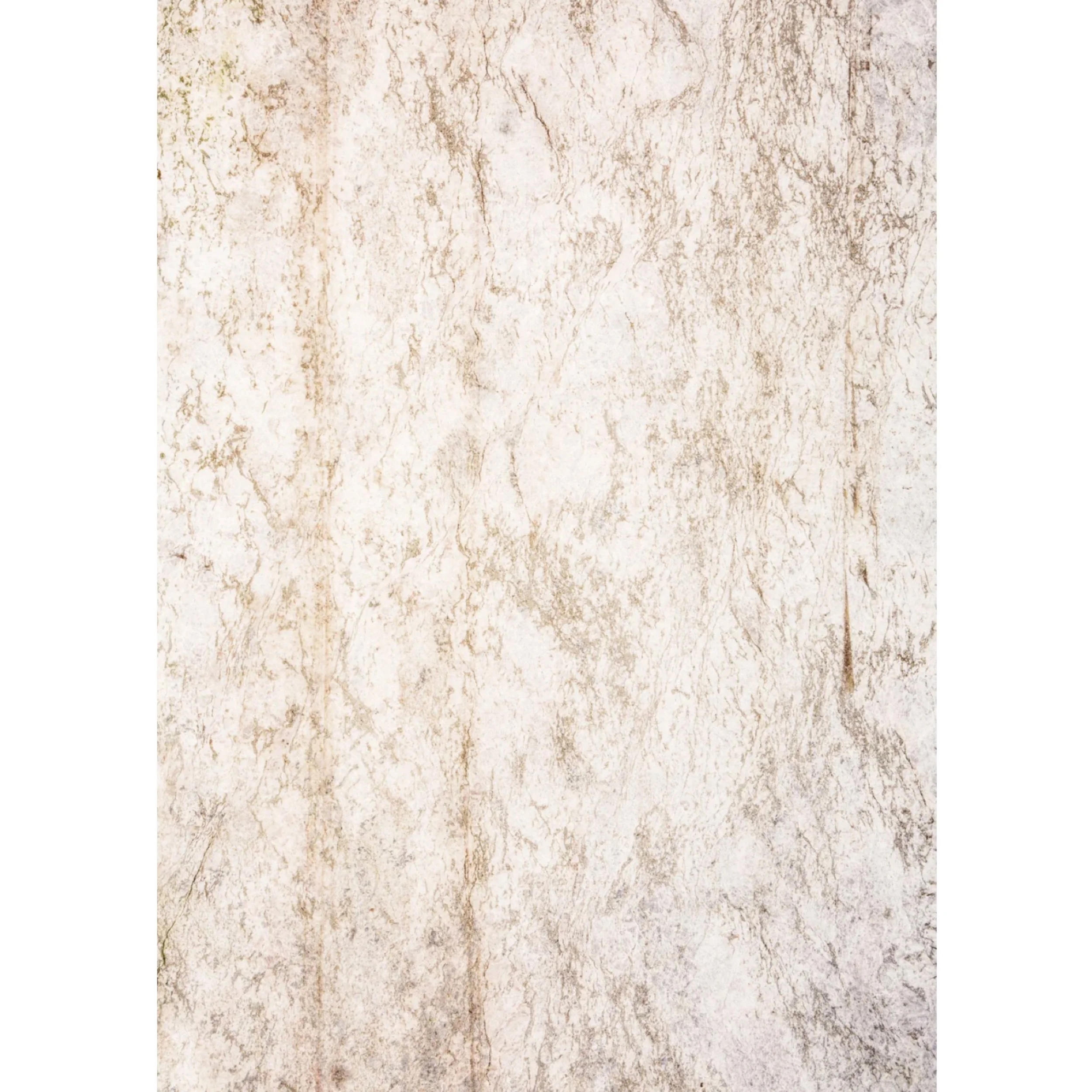 Vinyl 202 (24" x 36")