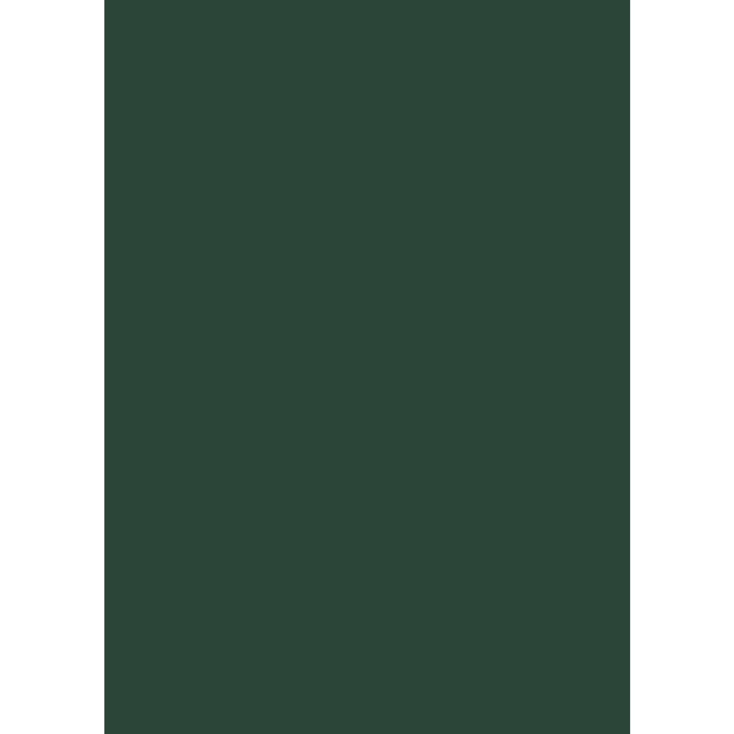 Vinyl 186 34x46.JPG