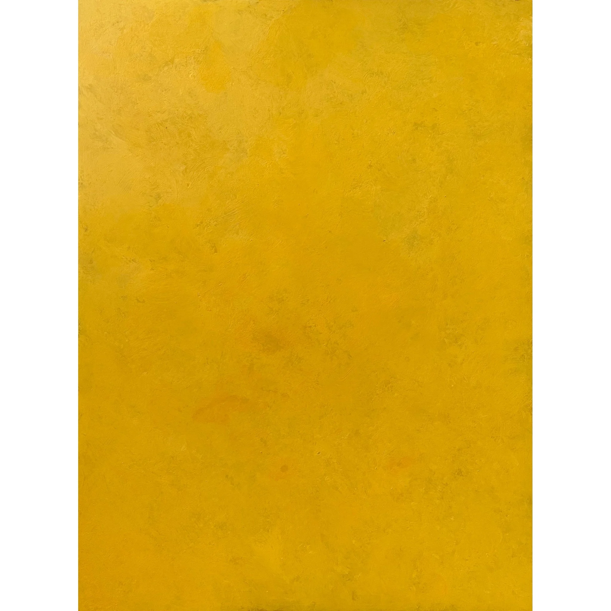 Faux 520 (36" x 48")