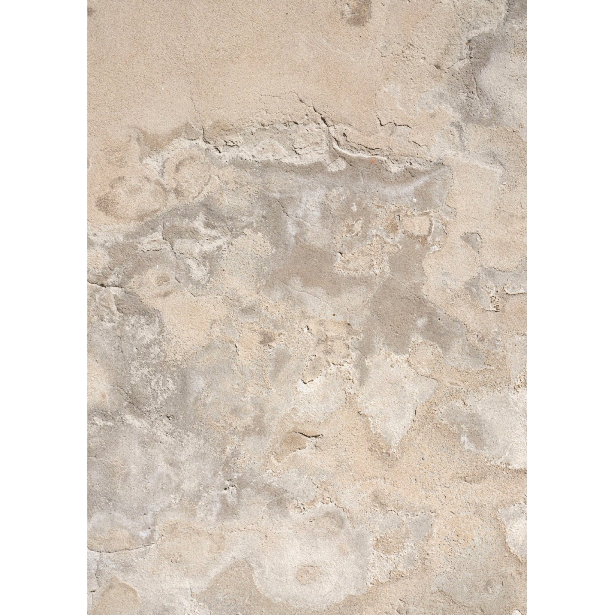 Vinyl 326 (24" x 36").JPG