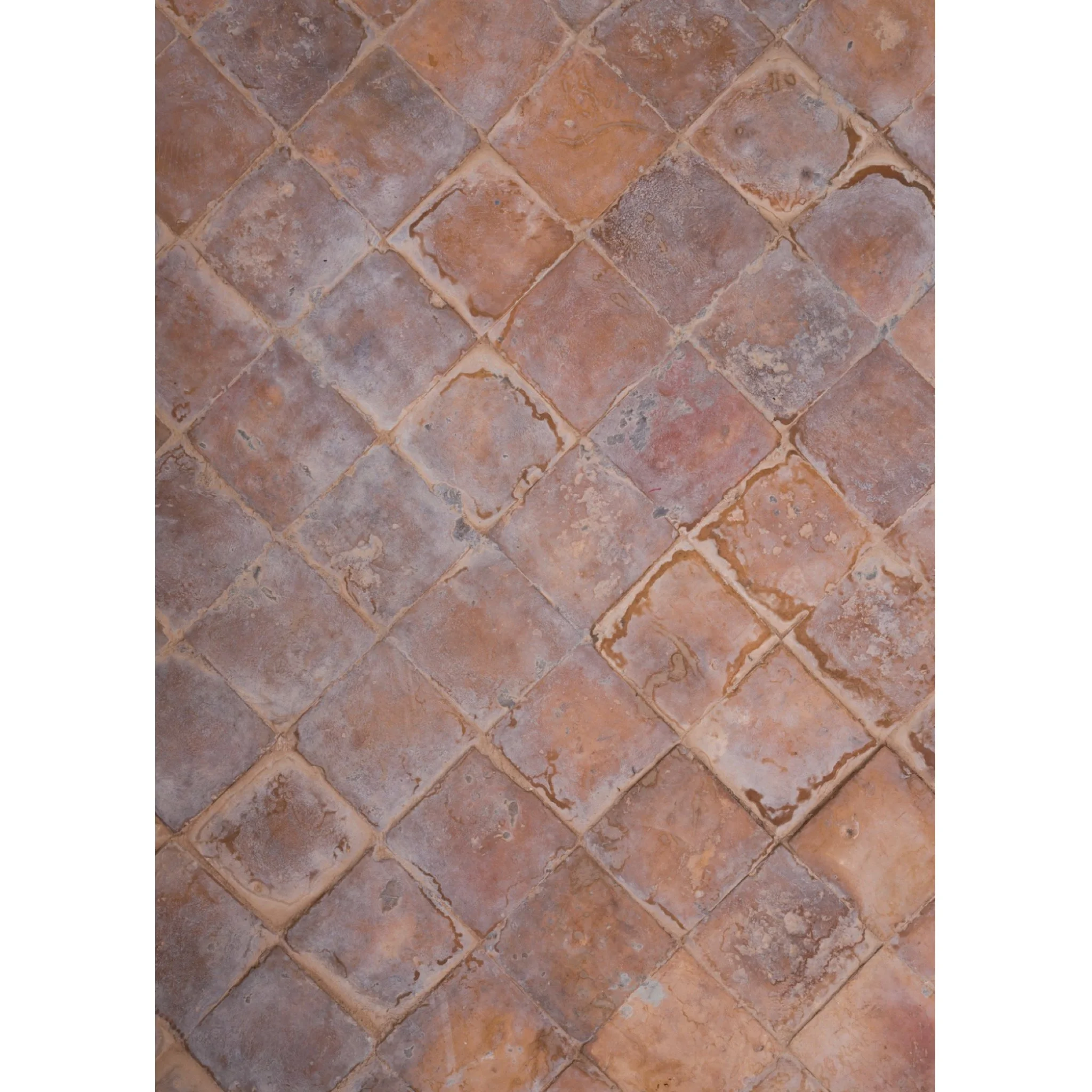 Vinyl 204 (24" x 36")