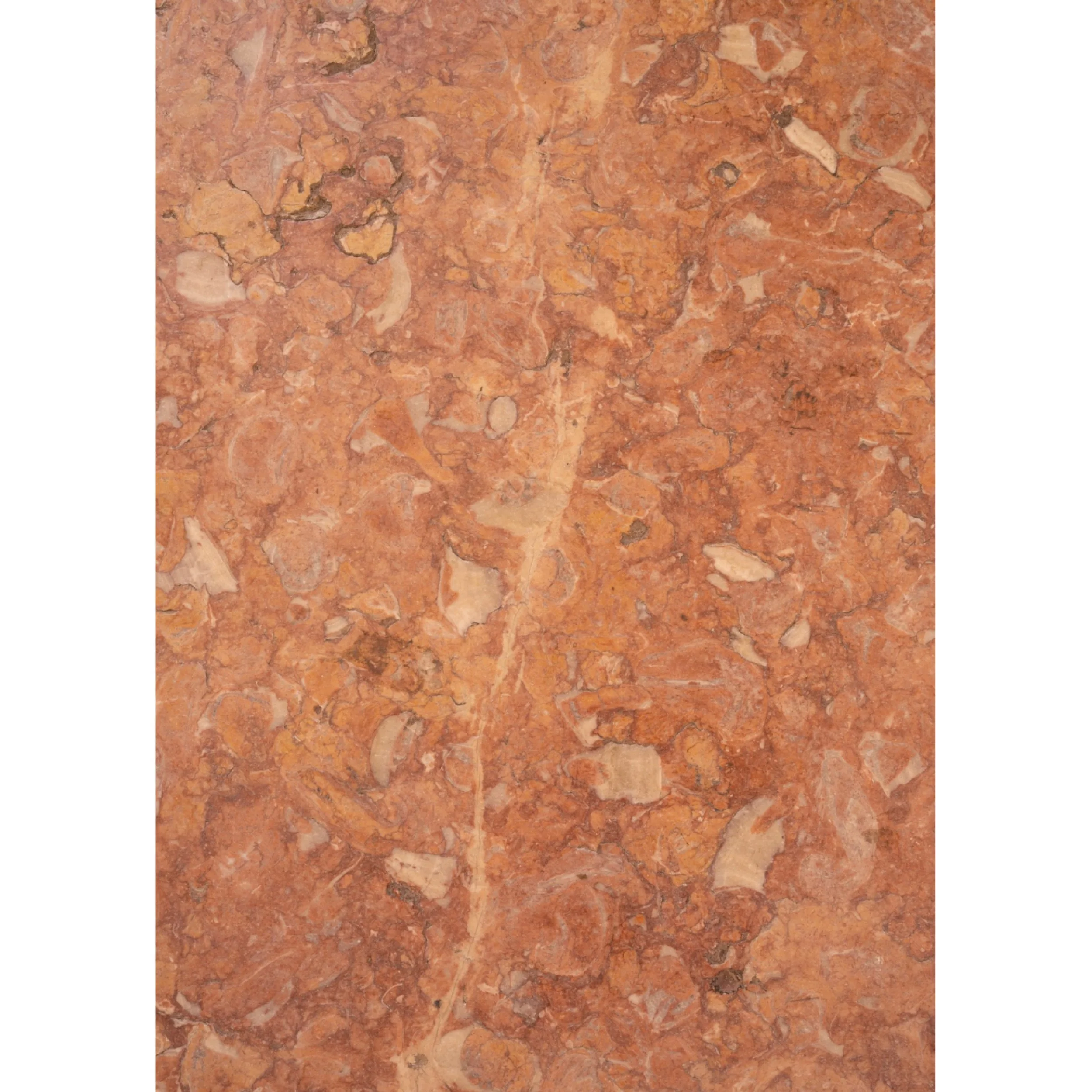 Vinyl 208 (24" x 36")