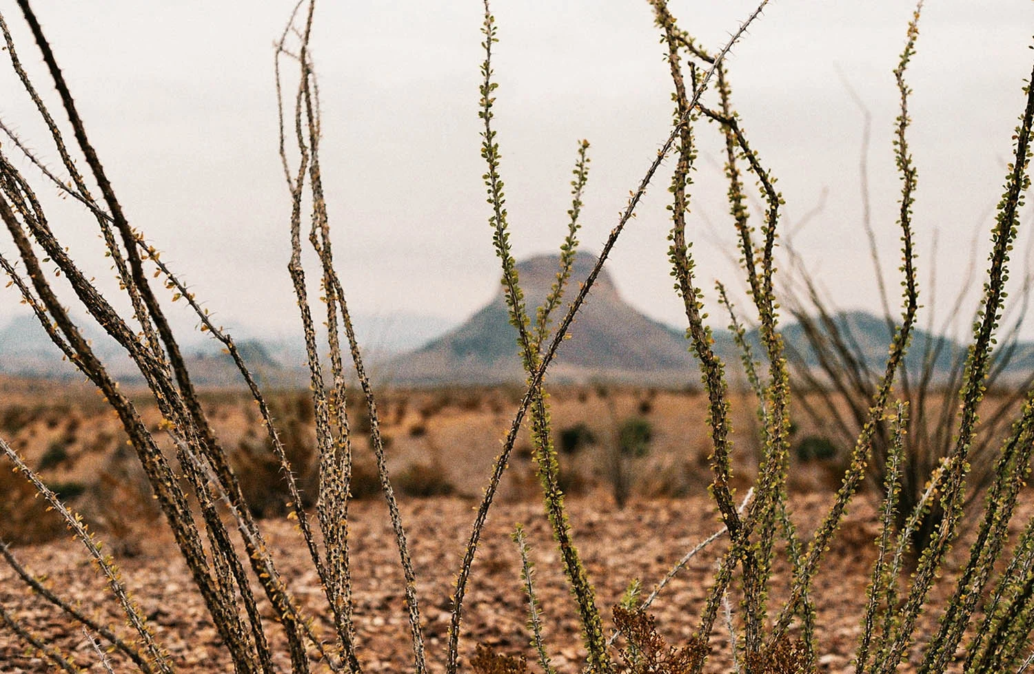 Big Bend National Park - USA