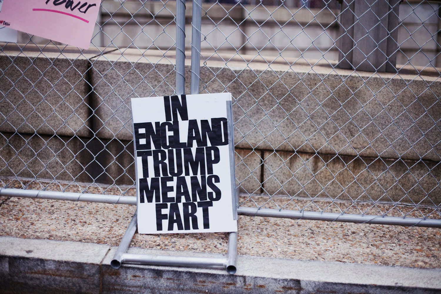 Francesca_Beltran_Website_WomensMarch_016.jpg