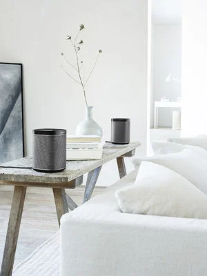 play1-pair-117-v.jpg