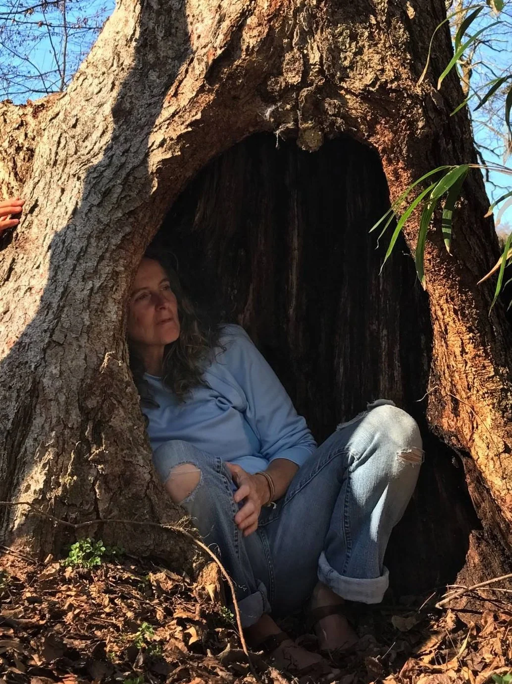 Pamela Wolfe Carlson