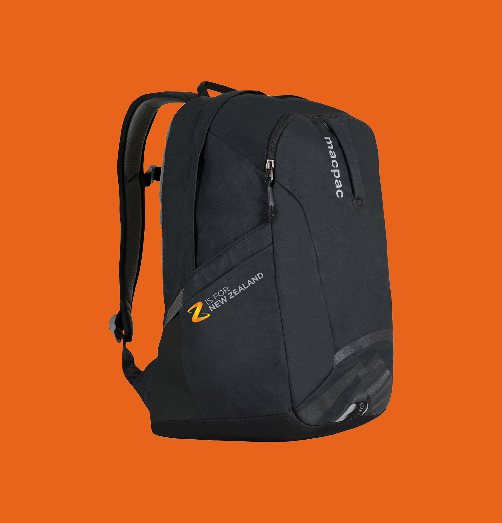 Z Hayden_4_lores.jpg