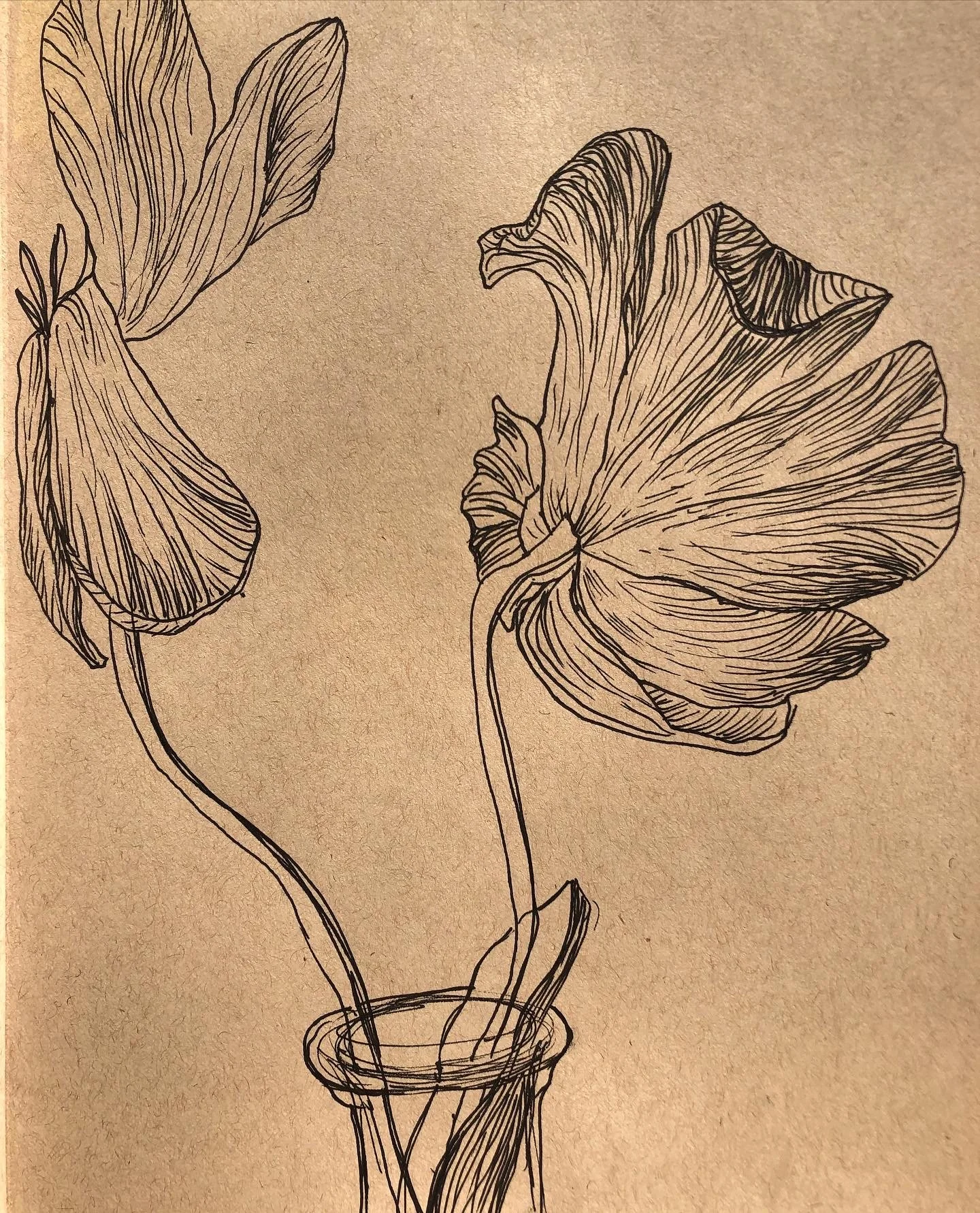 D332CD42-6AAE-4610-AEB4-1198E4AB0696 2.JPG