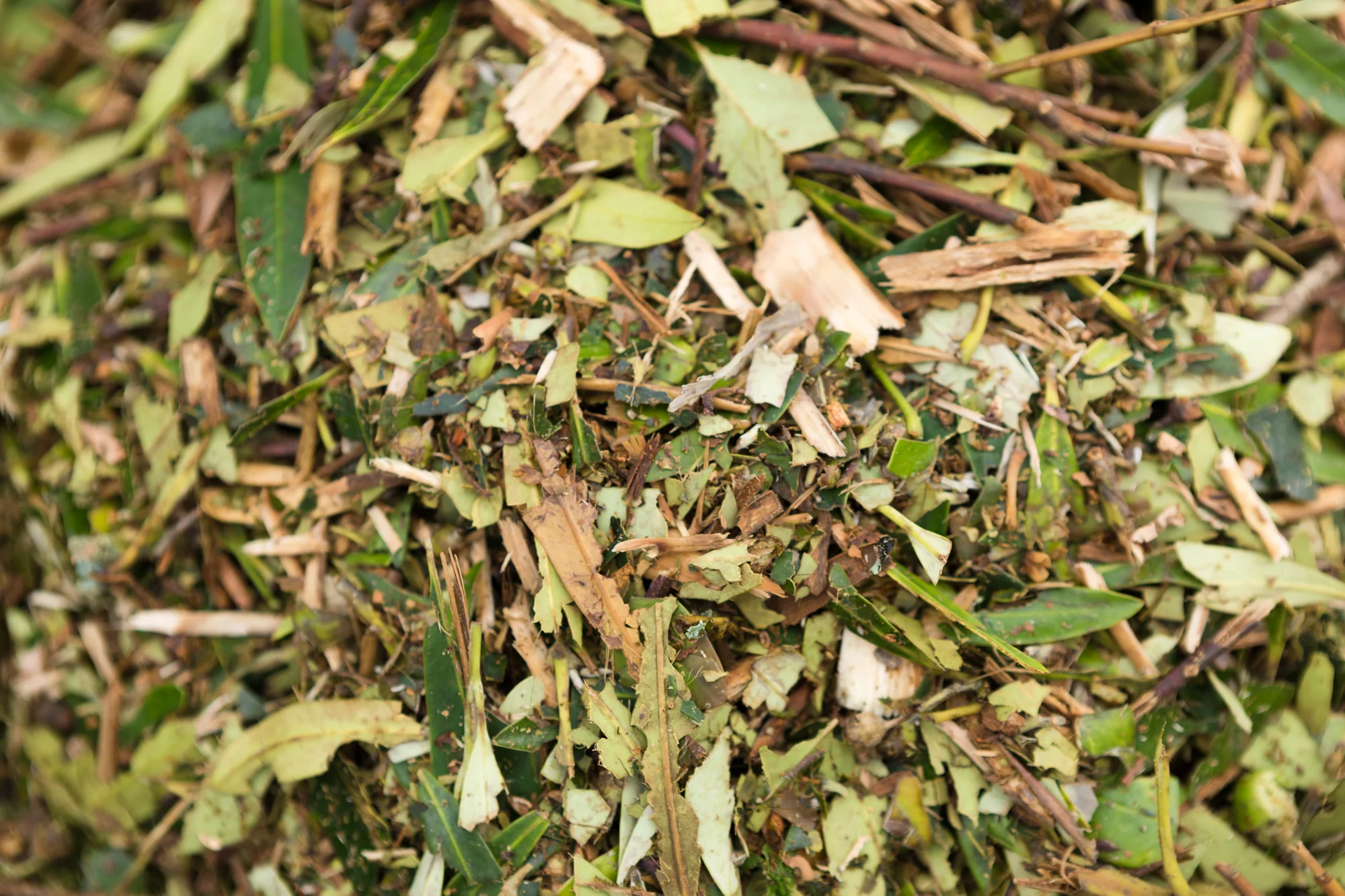 Mulch-Tree-Fellas.jpeg