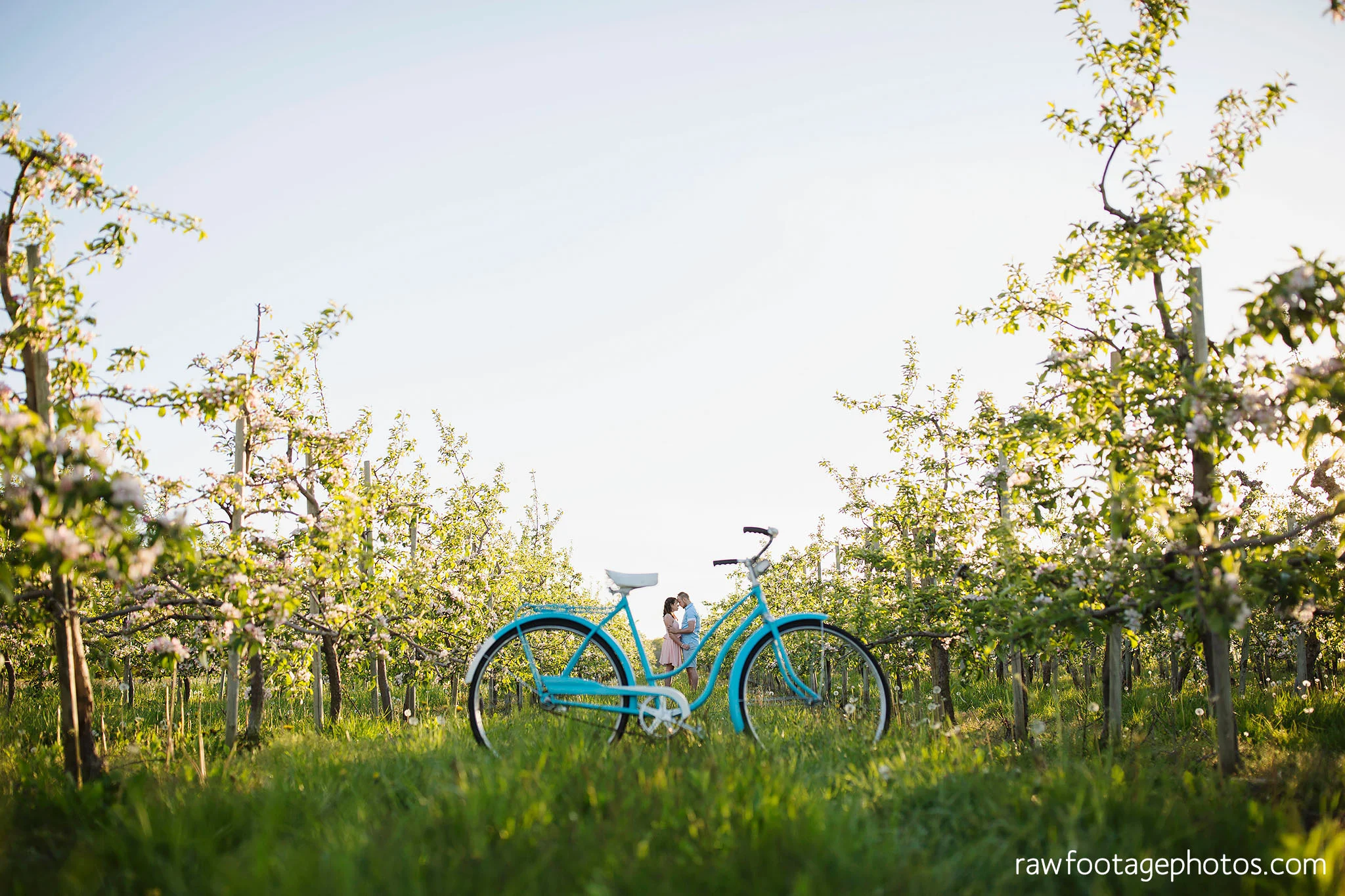 london_ontario_wedding_photographer-raw_footage_photography-engagement_session-airport_session-airplane-balloons-apple_orchard-spring_blooms-apple_blossoms023.jpg