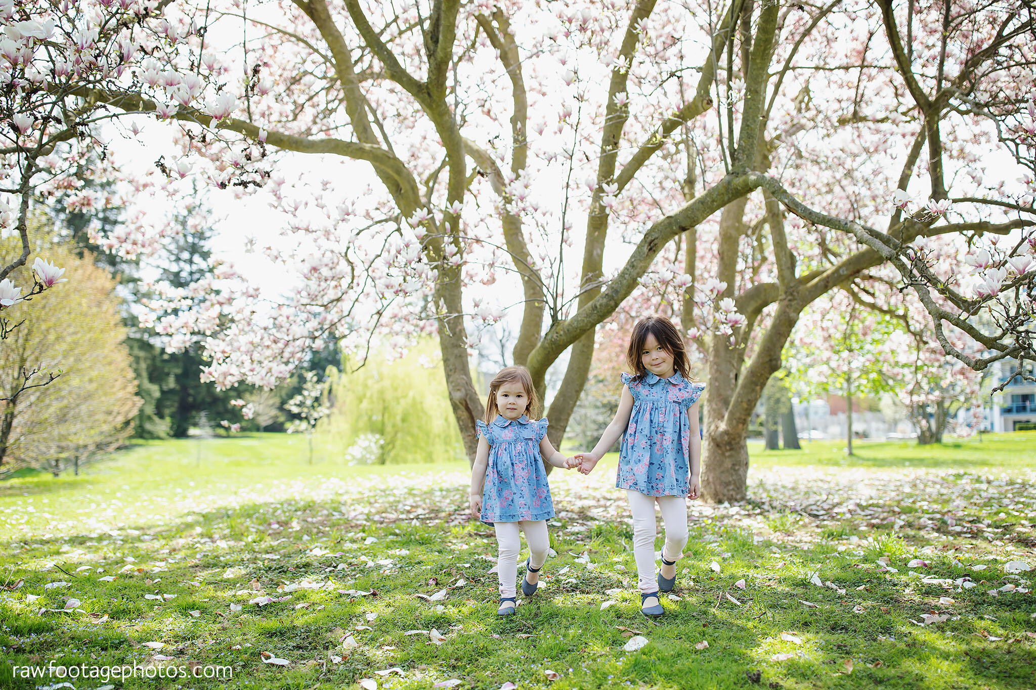 london_ontario_family_photographer-spring_blossoms-newborn_session-magnolia_blossoms-springbank_park-raw_footage_photography_005.jpg