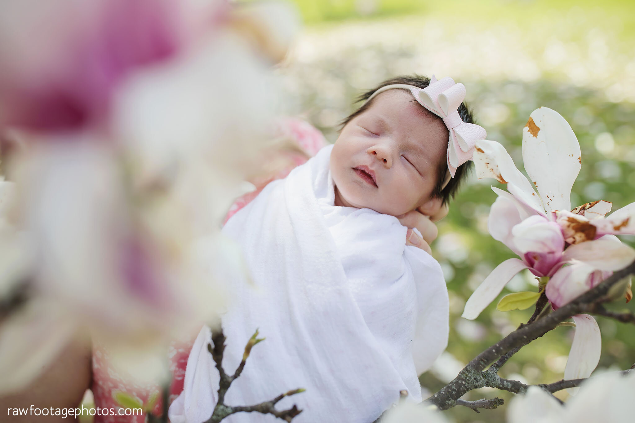 london_ontario_family_photographer-spring_blossoms-newborn_session-magnolia_blossoms-springbank_park-raw_footage_photography_009.jpg