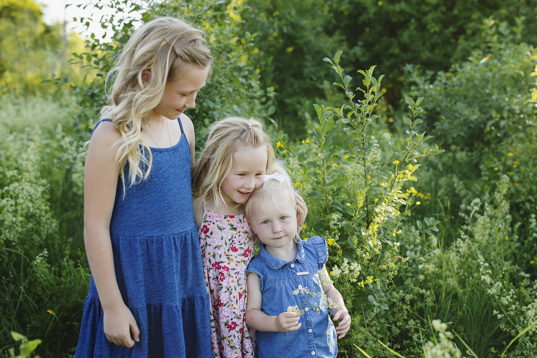 london_ontario_family_photographer-summer_woods_minis-raw_footage_photography_011.jpg