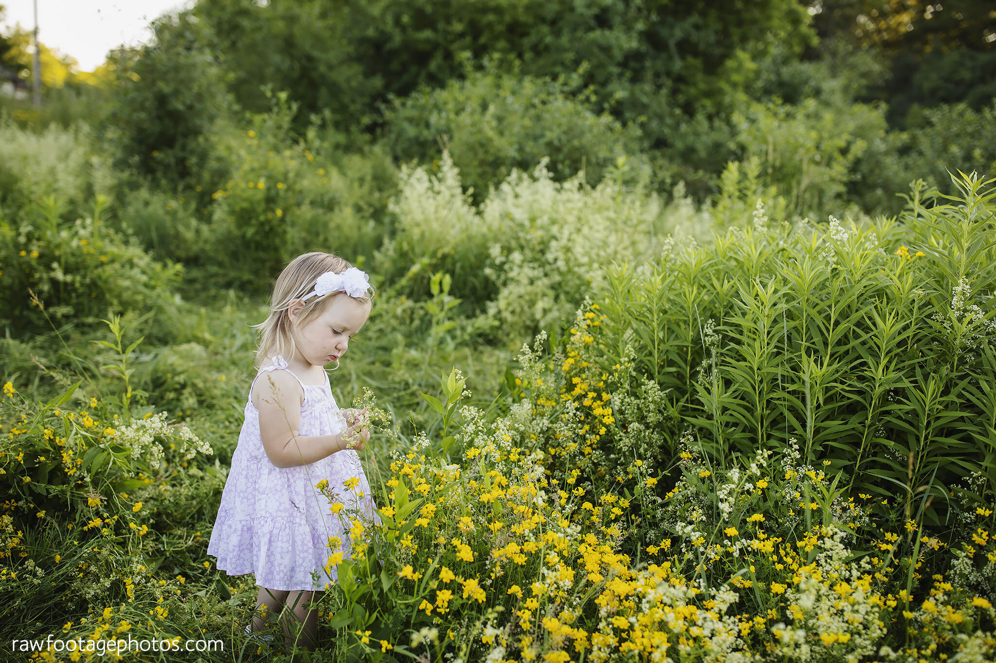 london_ontario_family_photographer-summer_woods_minis-raw_footage_photography_036.jpg