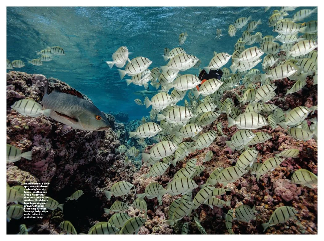Pristine Seas6.jpg