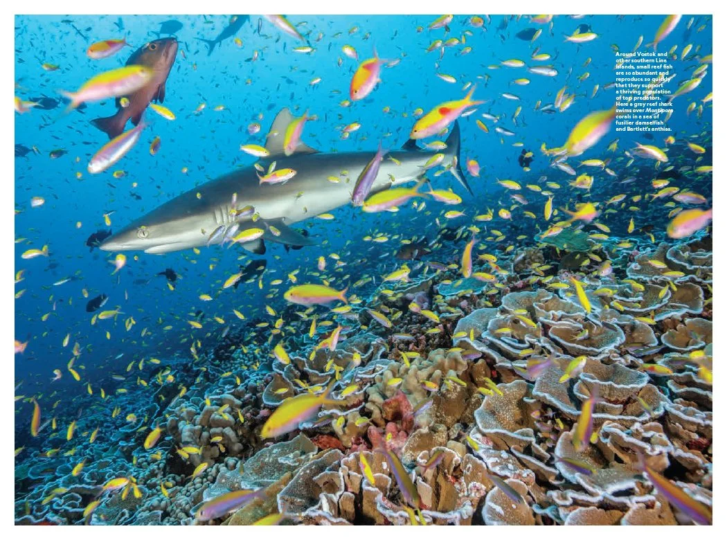 Pristine Seas2.jpg