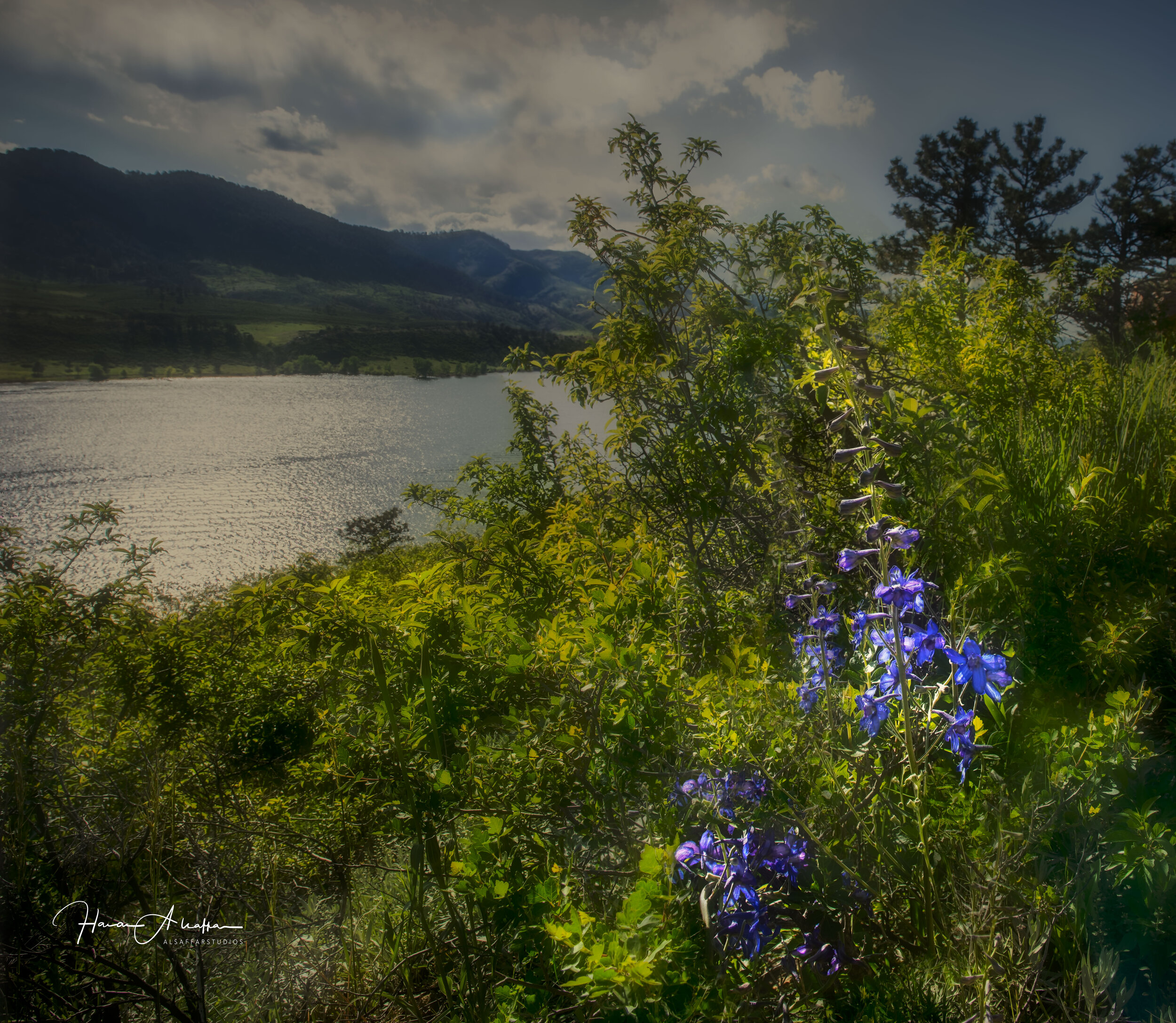 _DSC0484-HDR-Edit.jpg