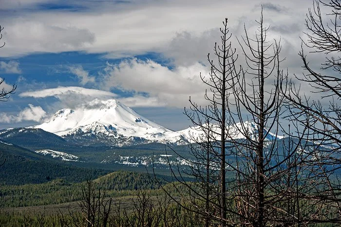 burnt_trees_and_lassen_peak.jpg