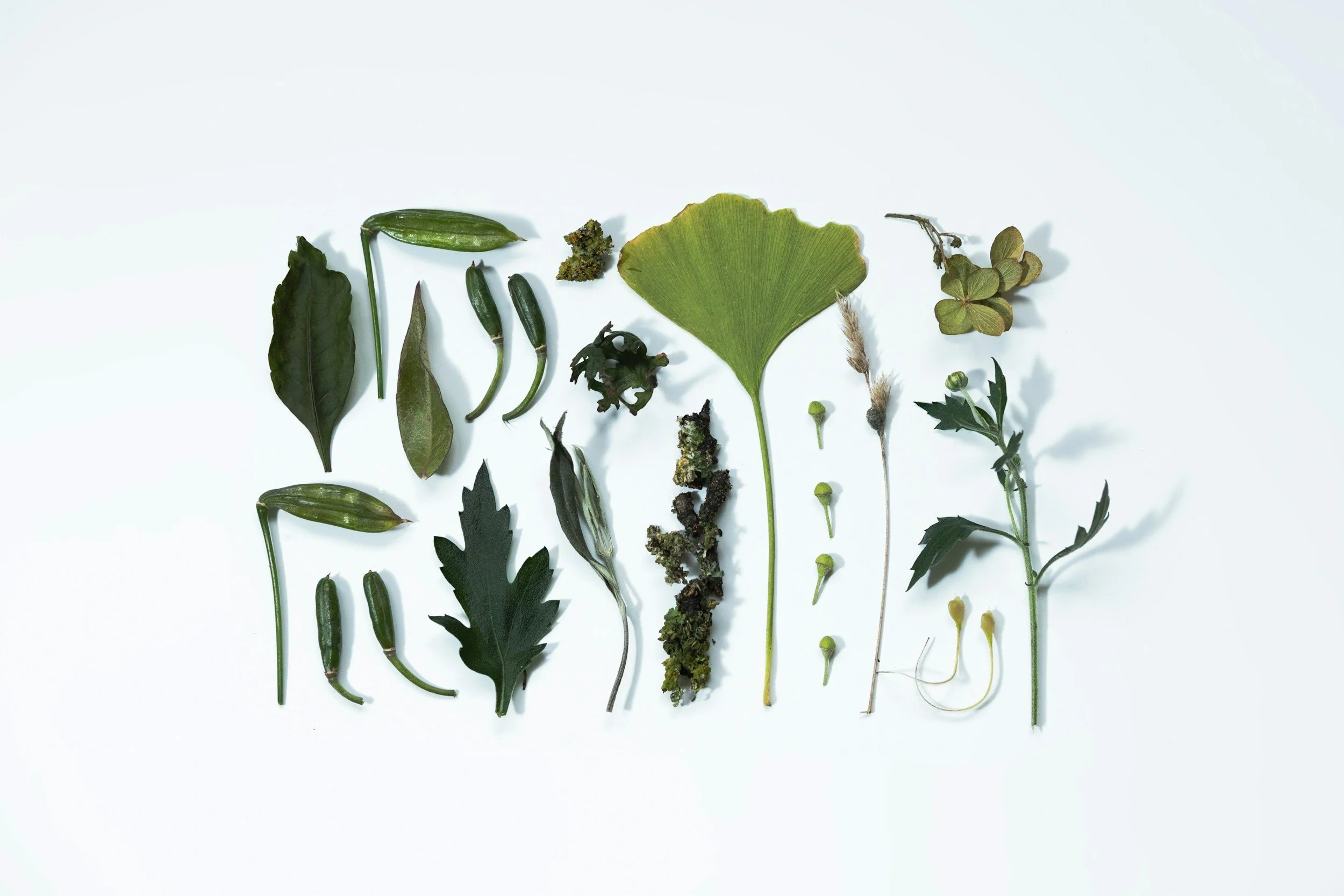 Seasonal Allergies in Minneapolis: A Chinese Medicine Approach to Natural Relief