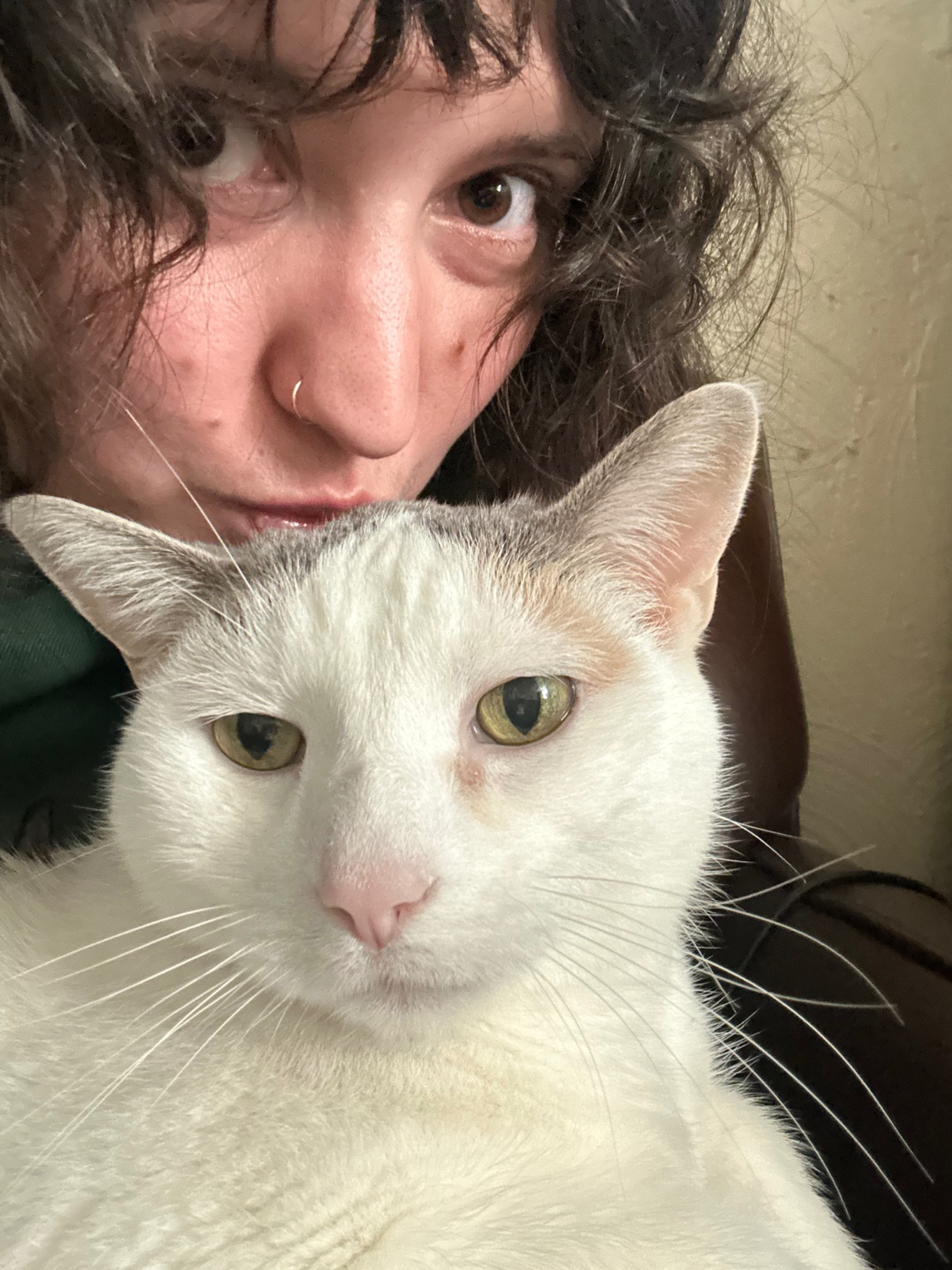 Rowan_with_cat.png