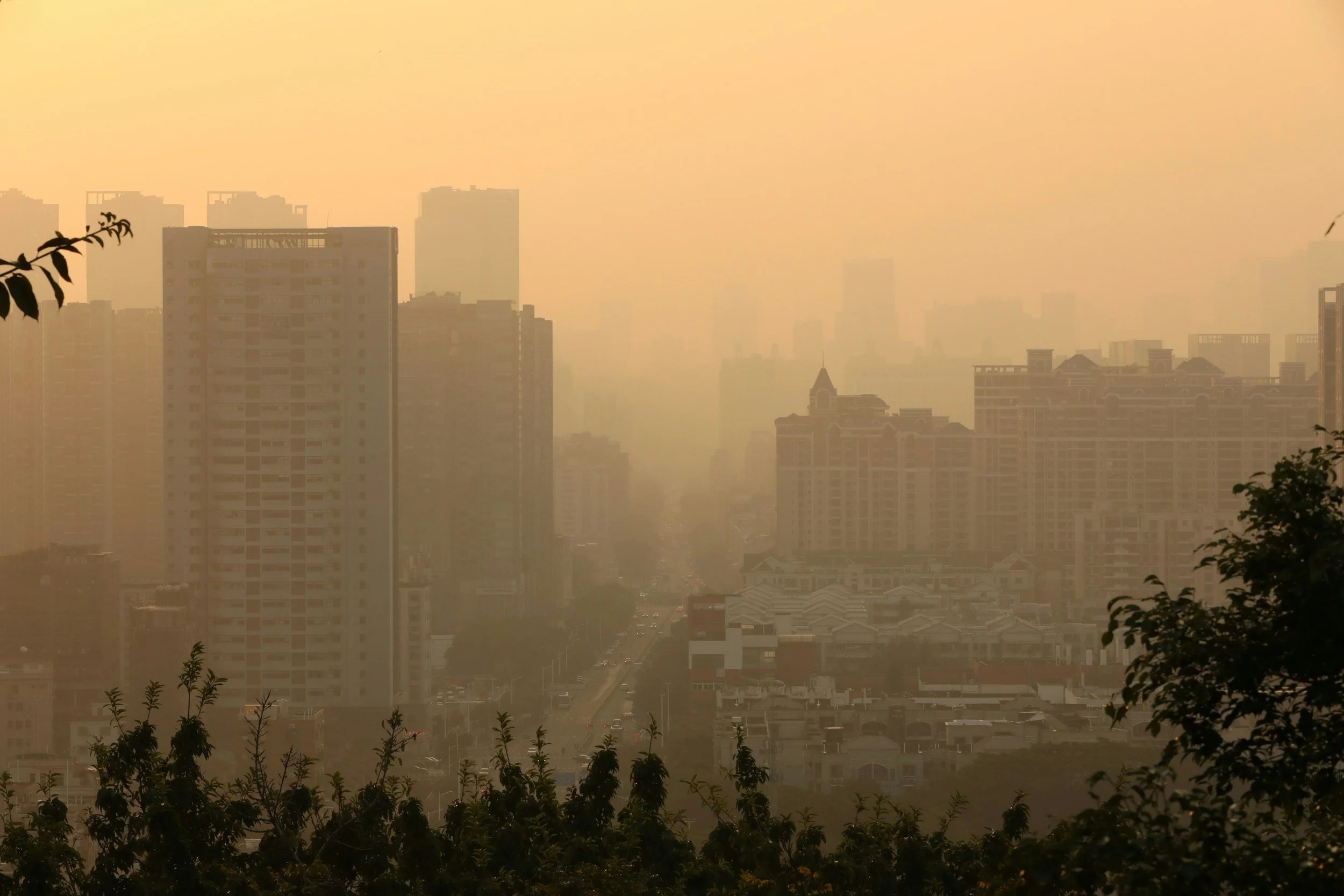 When the Air Feels Heavy: Caring for Your Body During Heat and Smoke