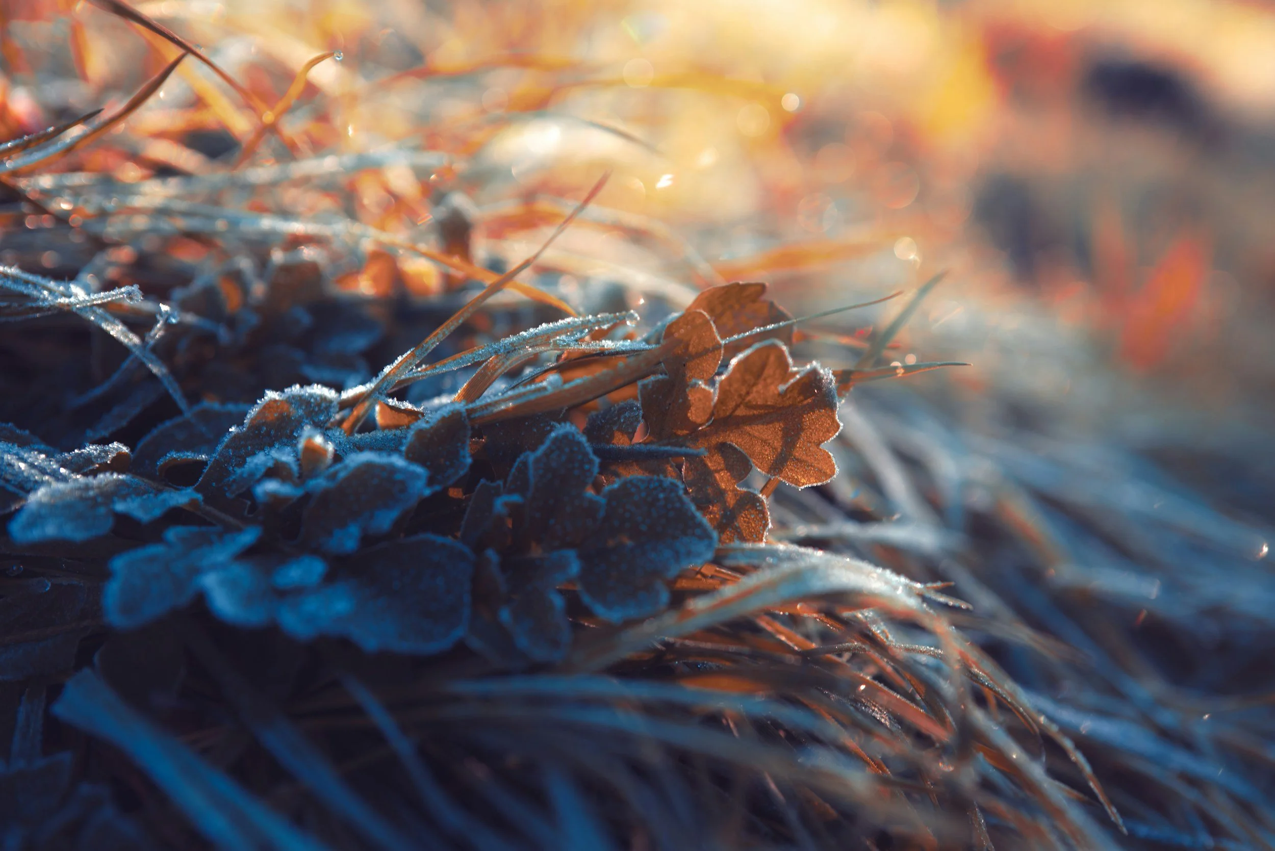 Fibromyalgia and Fall: Preparing for the Change of Season
