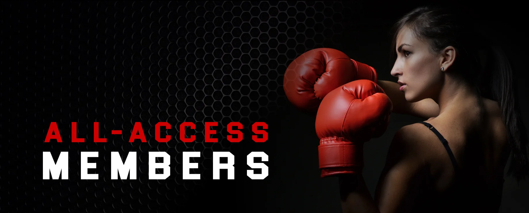 all-access.jpg