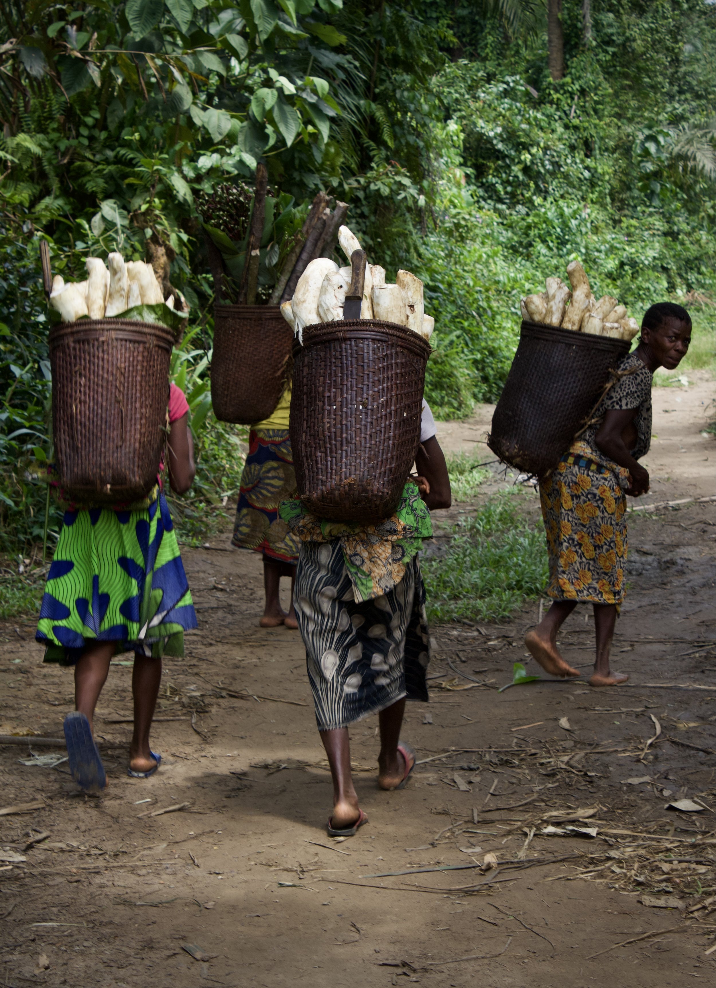 women farmers_microcredit_photo by Fergus Ewington.jpeg