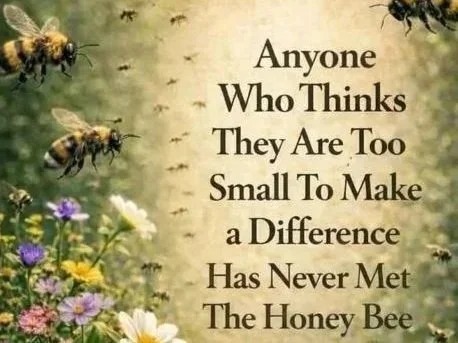 BEE A HONEY FOR CONGO!  As we know, bees connect communities.   