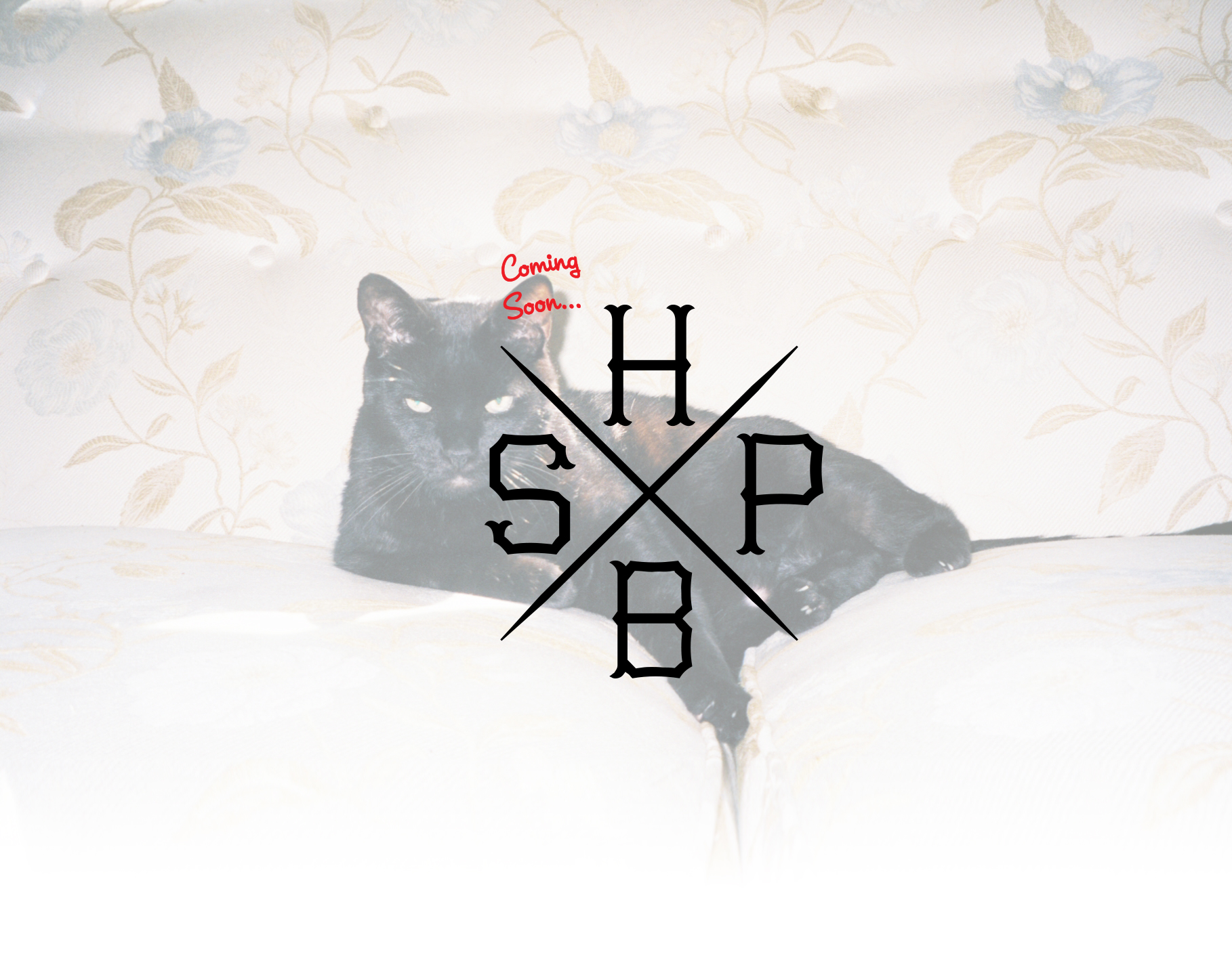 luke hotbox banner_v2.jpg