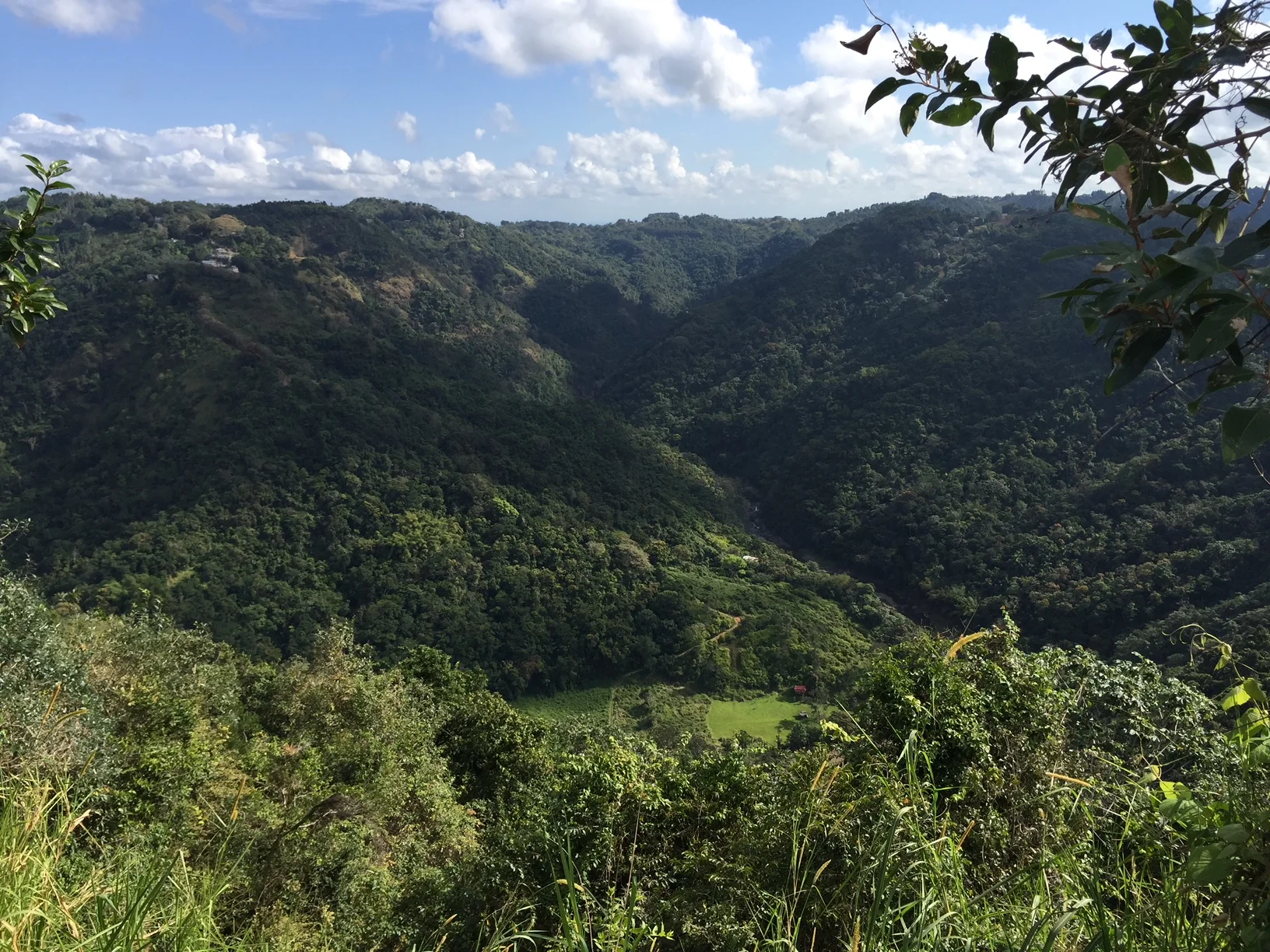 I traversed this via what basically amounts to a thick string. #iregretnothing