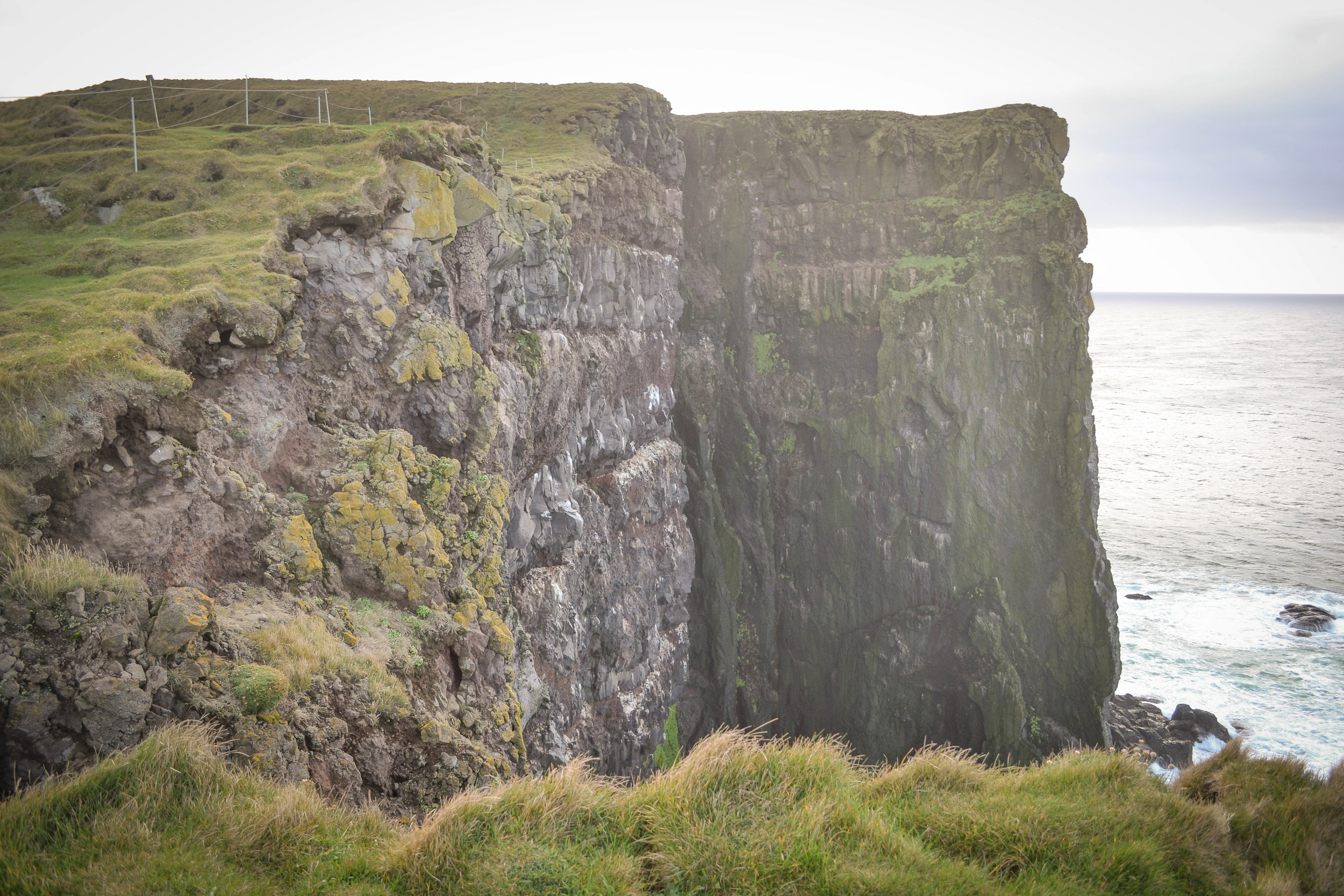 DSC_0619.jpg
