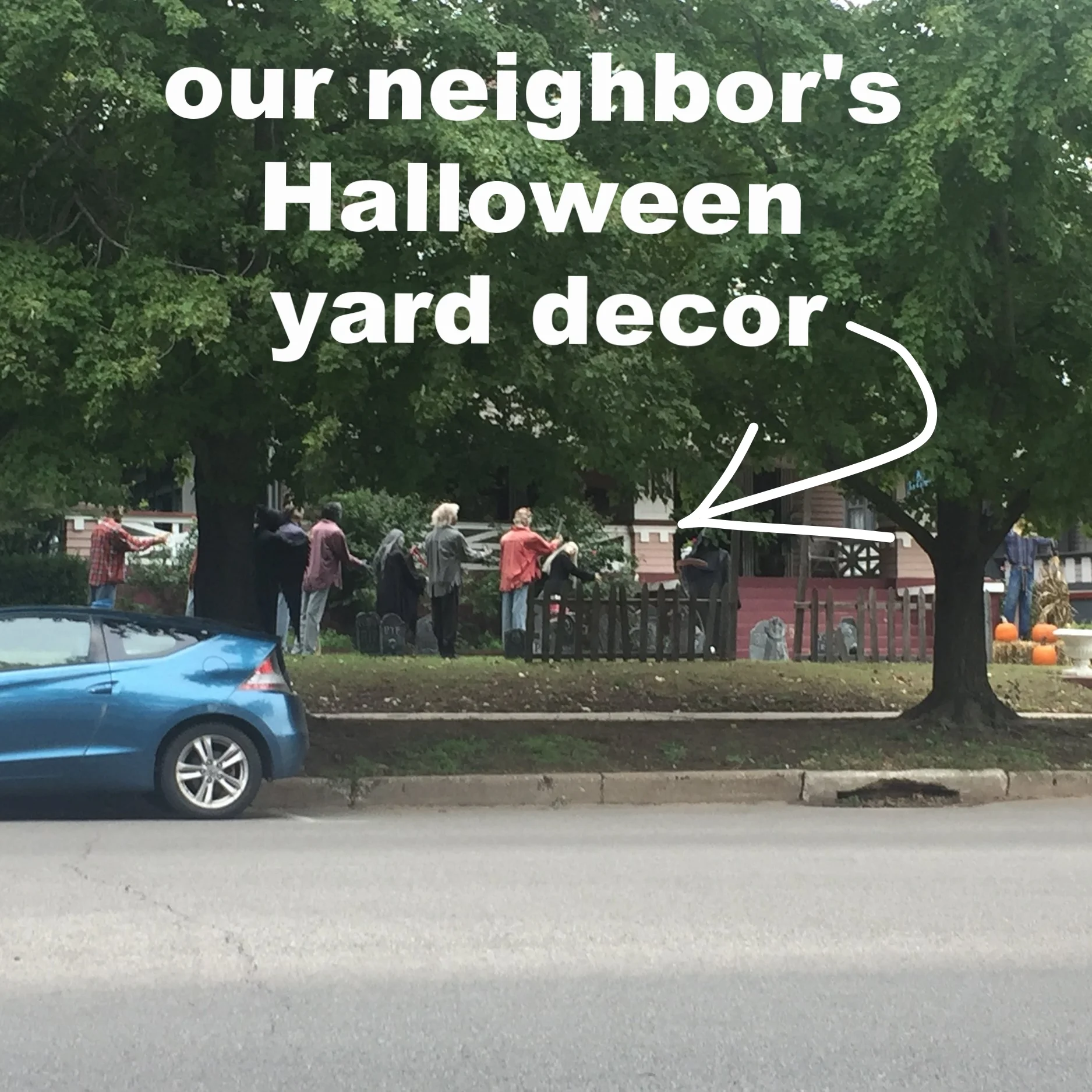 Scares the ever-loving life out of me every morning at dawn when I pull out of my alley.