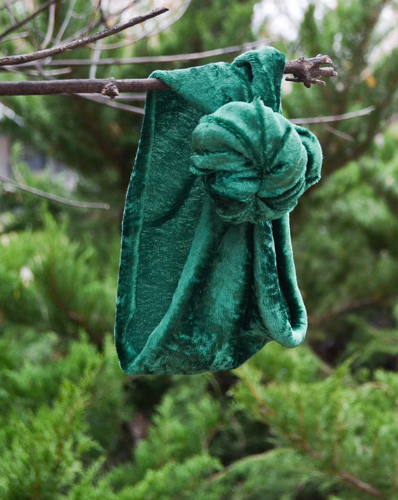 DSC_0790.jpg