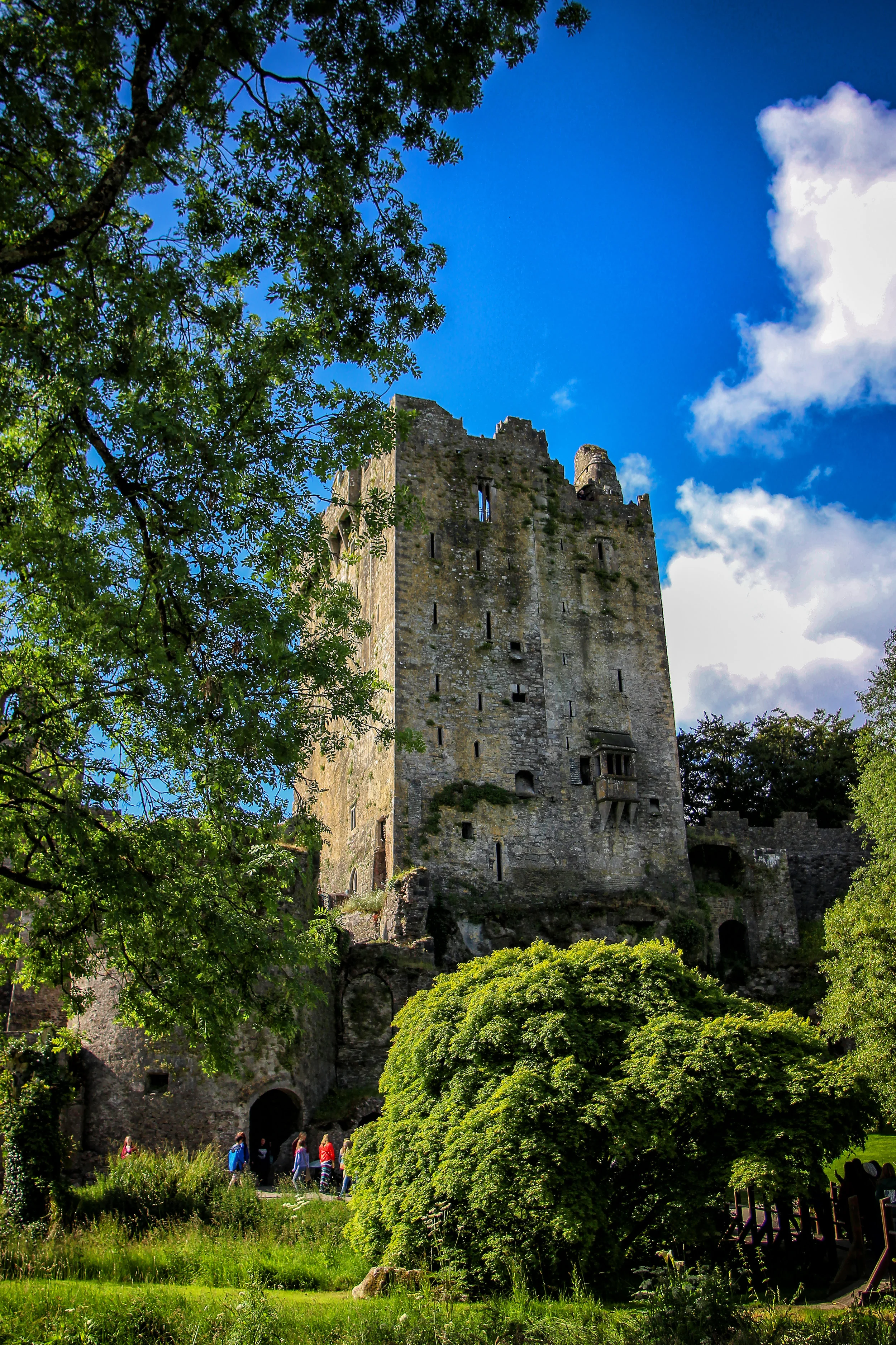 Blarney Castle 2 HIGH RES.jpg