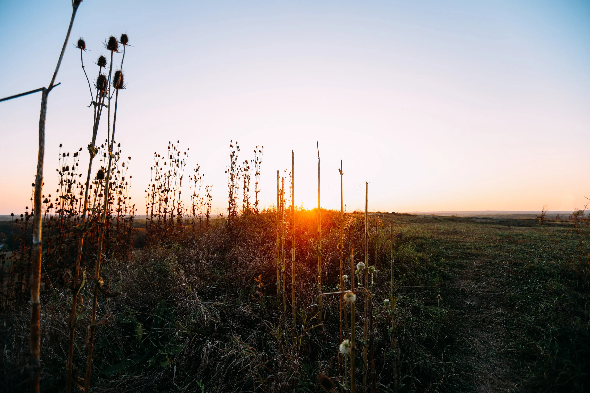 sunset-6.jpg