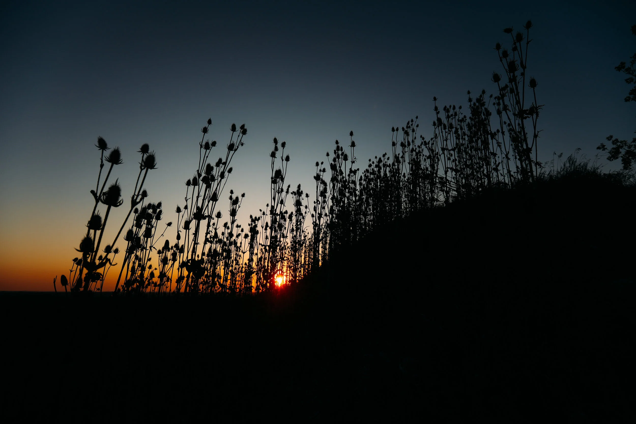 sunset-9.jpg