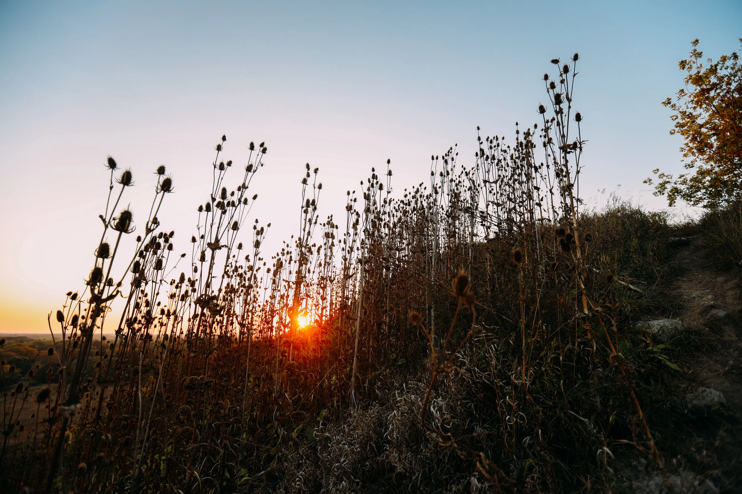 sunset-10.jpg