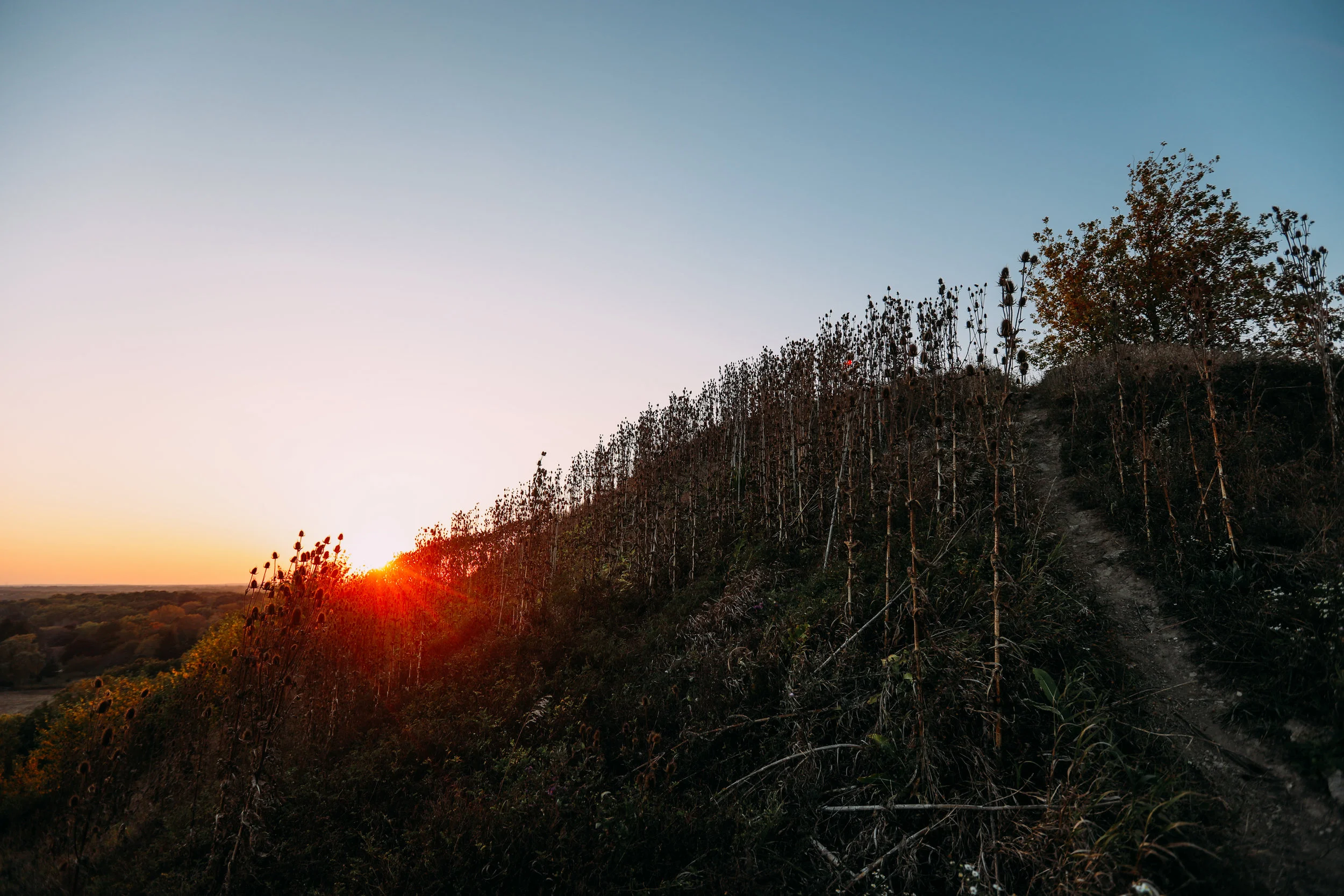 sunset-12.jpg