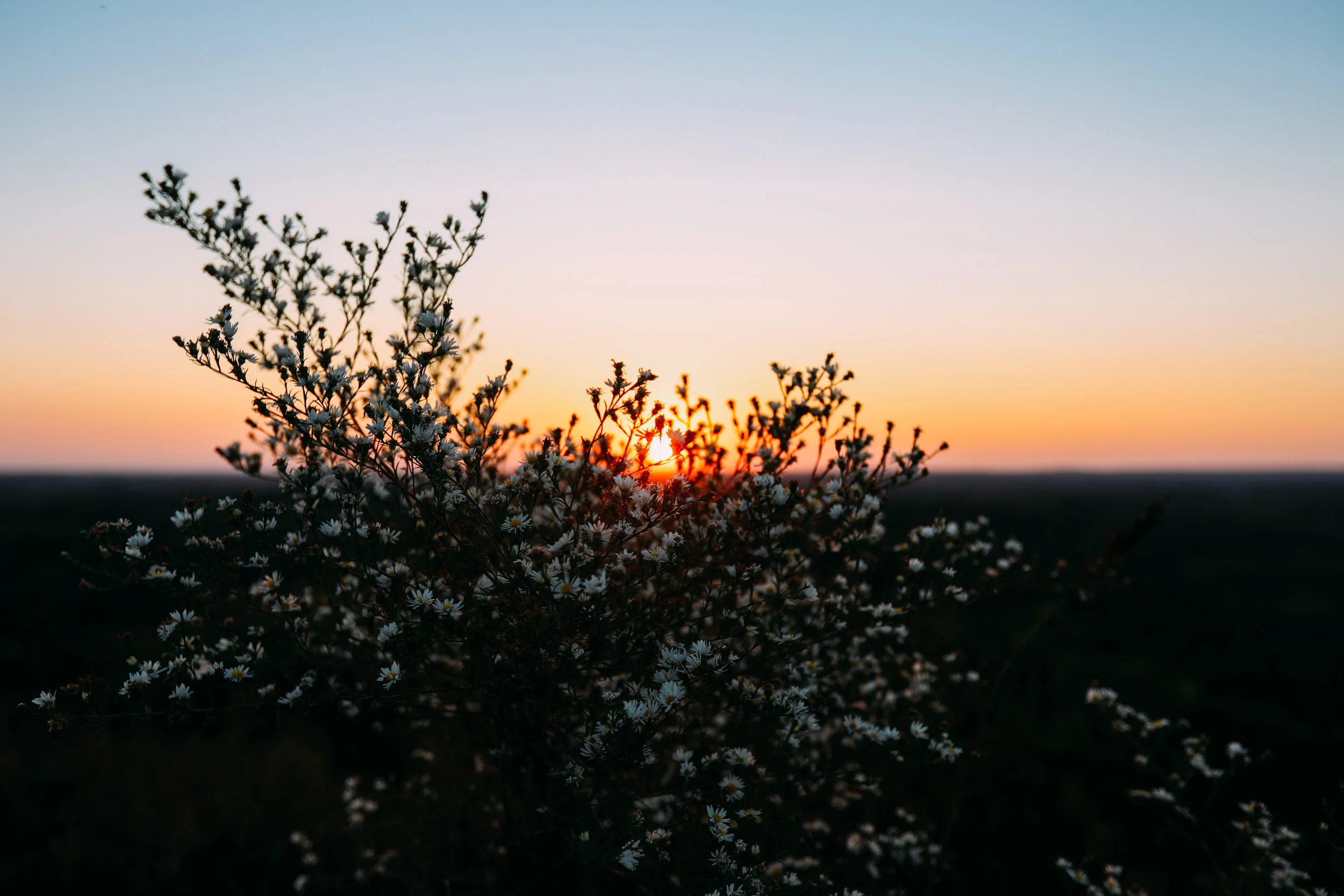 sunset-18.jpg