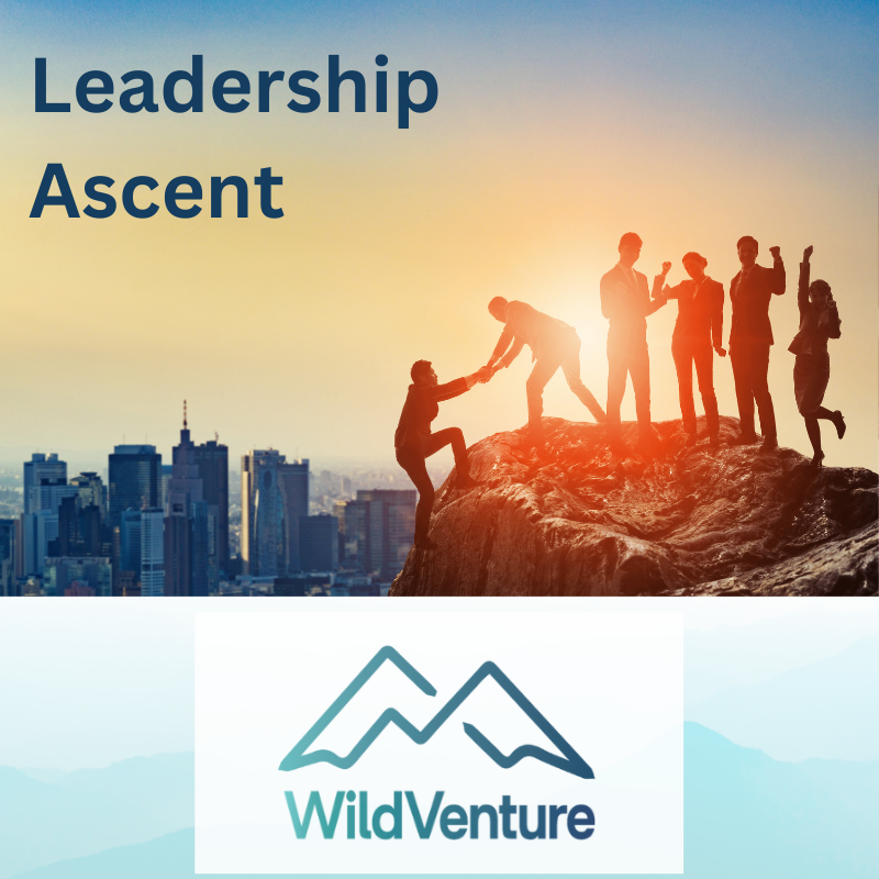 Leadership Ascent: Combining Rock Climbing and Leadership Development
