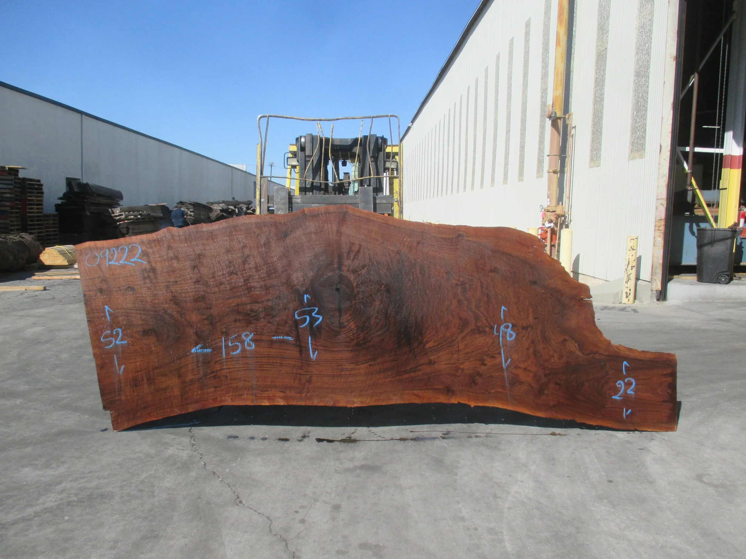 Tracy's Slab Upgrade (again!)