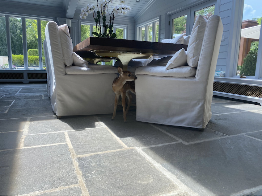 Screen Shot 2024-08-02 at 4.24.31 PM.png