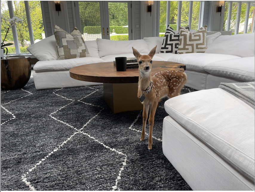 Screen Shot 2024-08-02 at 4.24.51 PM.png