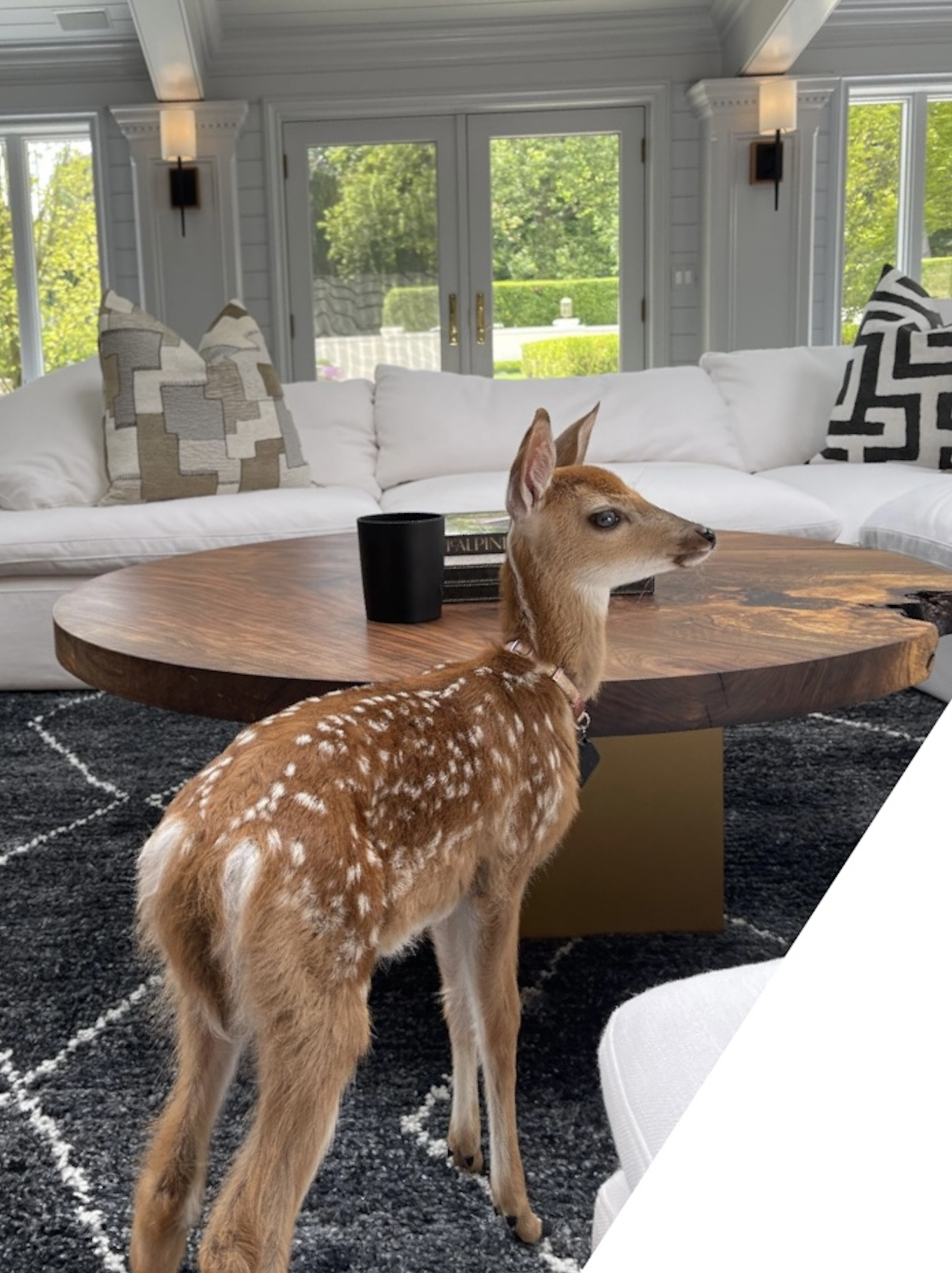 Screen Shot 2024-08-02 at 4.24.44 PM.png