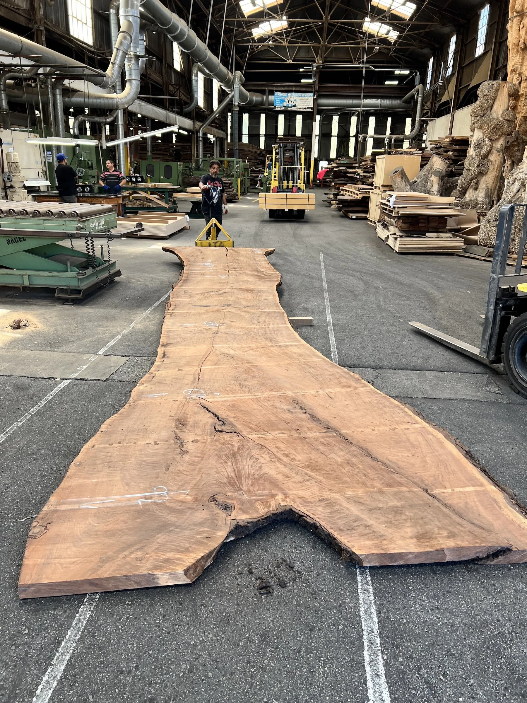 Extra-large live edge walnut slab selected for a custom conference table