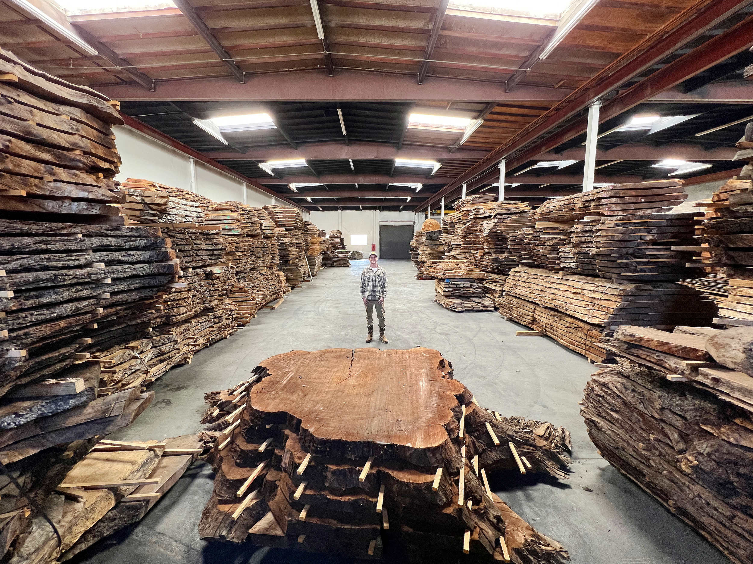 Large inventory of premium live edge walnut slabs at a California hardwood supplier