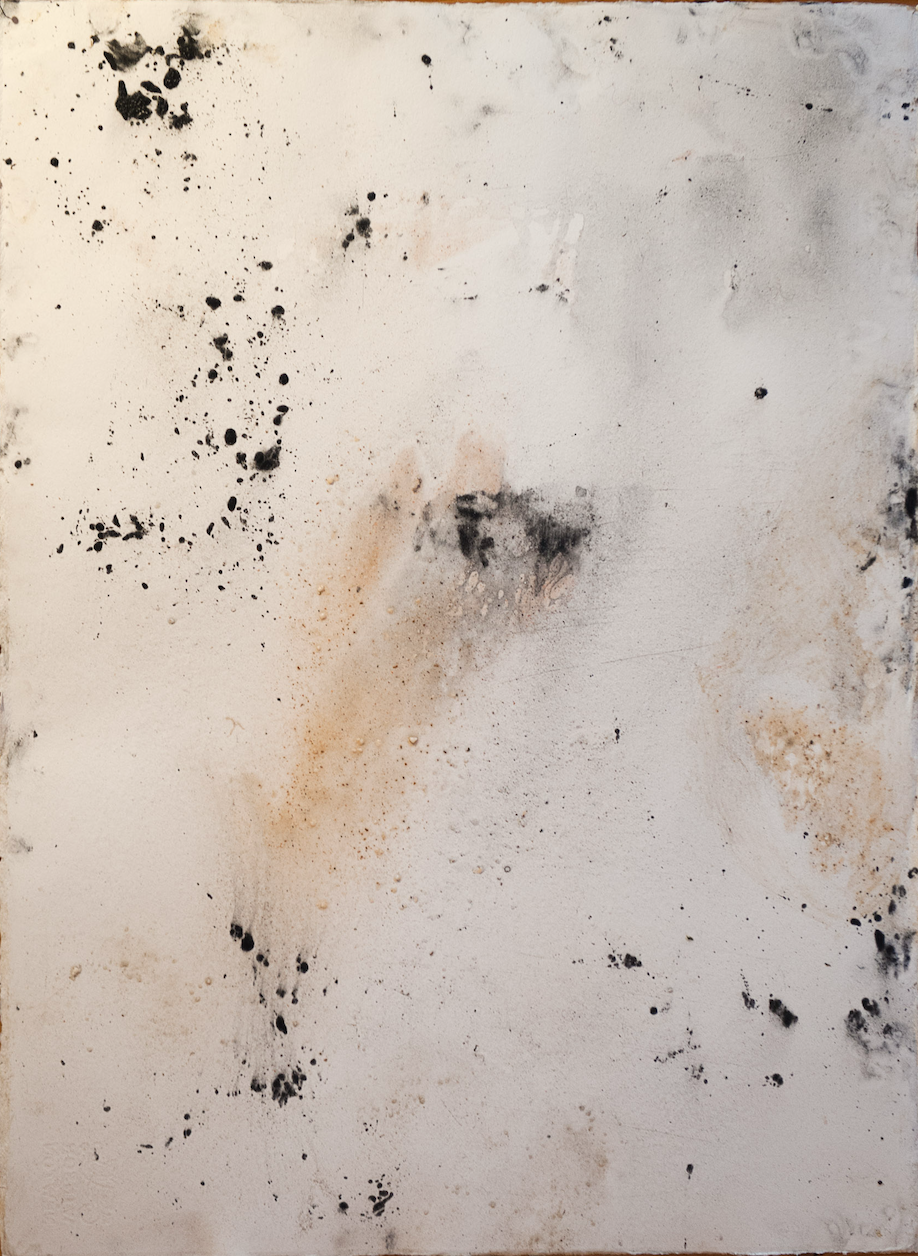  Abundance of Scarcity VI - 100 ×100xm - Seashell, Charcoal, Ash on Paper 