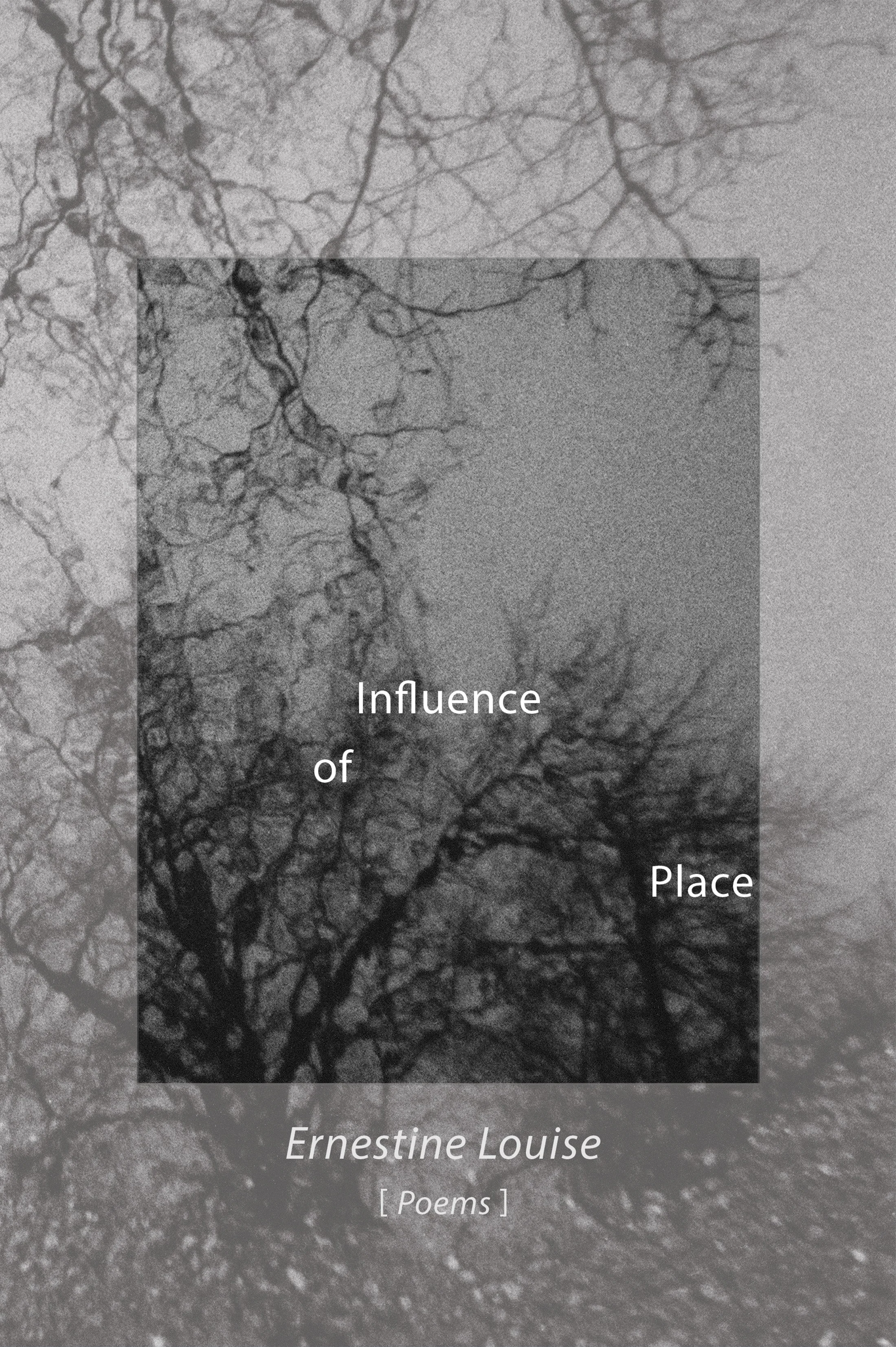 Influence of Place_Book Cover copy.jpg