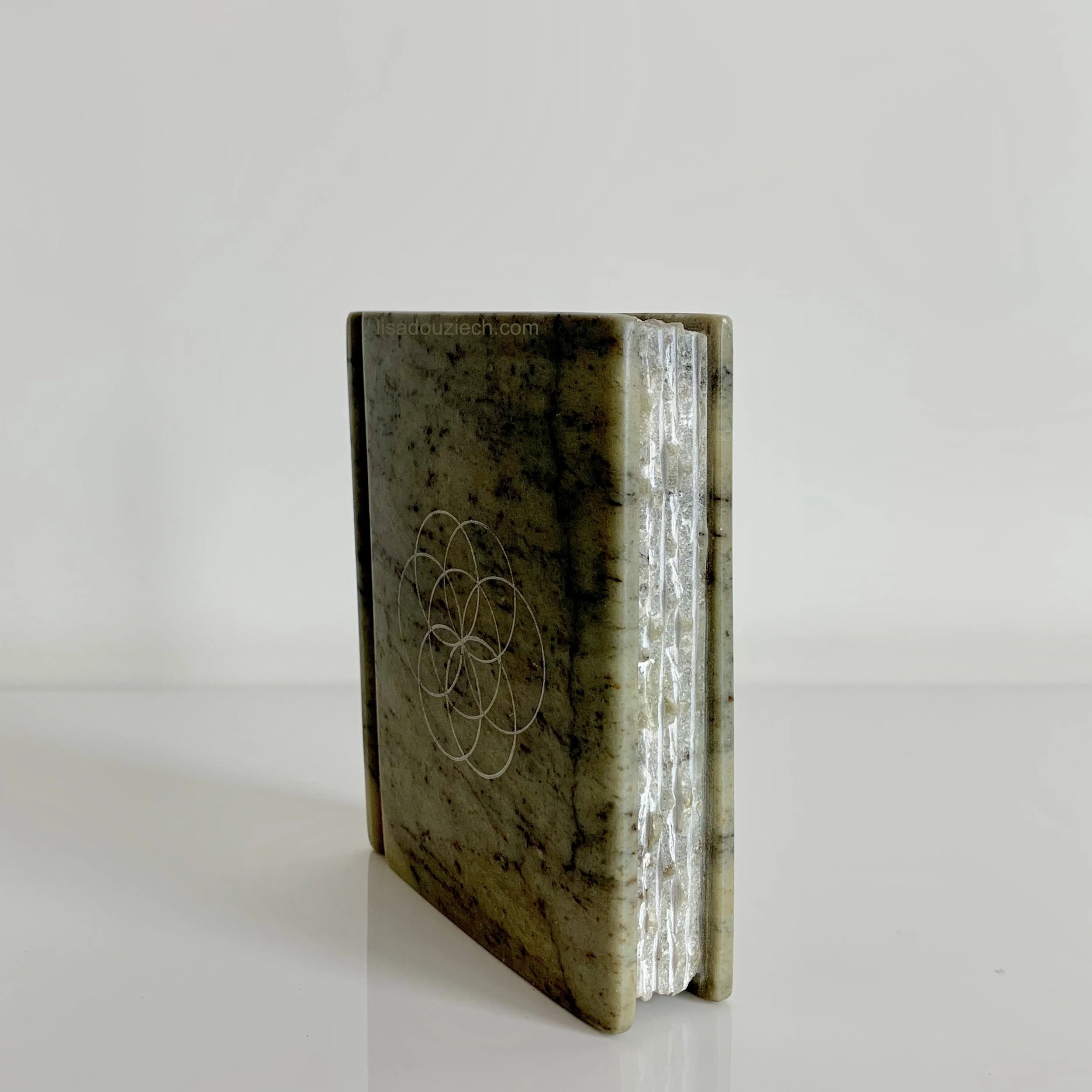 Book - Soapstone, by Lisa Douziech